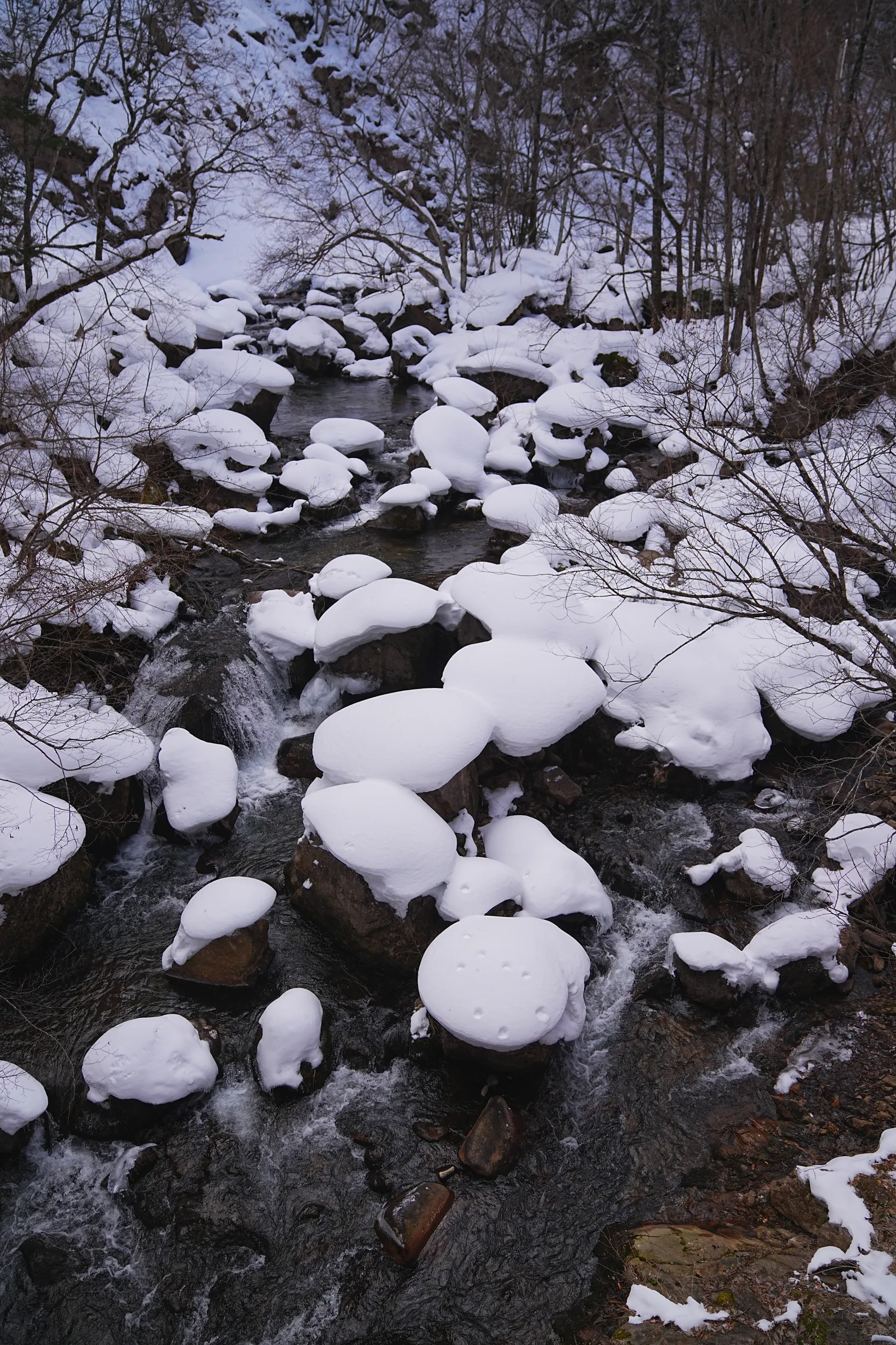 奥鬼怒の秘湯、手白澤温泉で貸切大新年会！