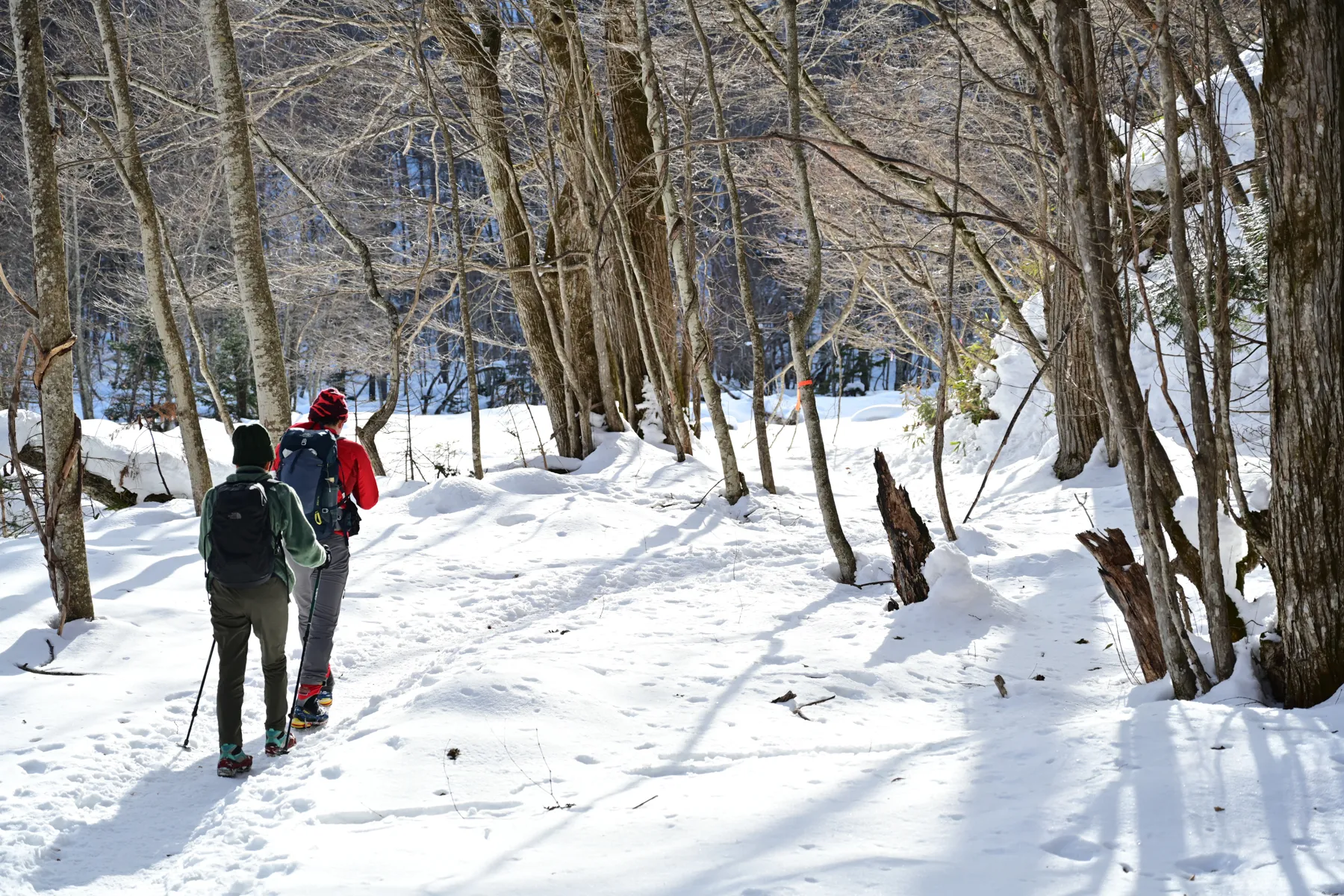 奥鬼怒の秘湯、手白澤温泉で貸切大新年会！