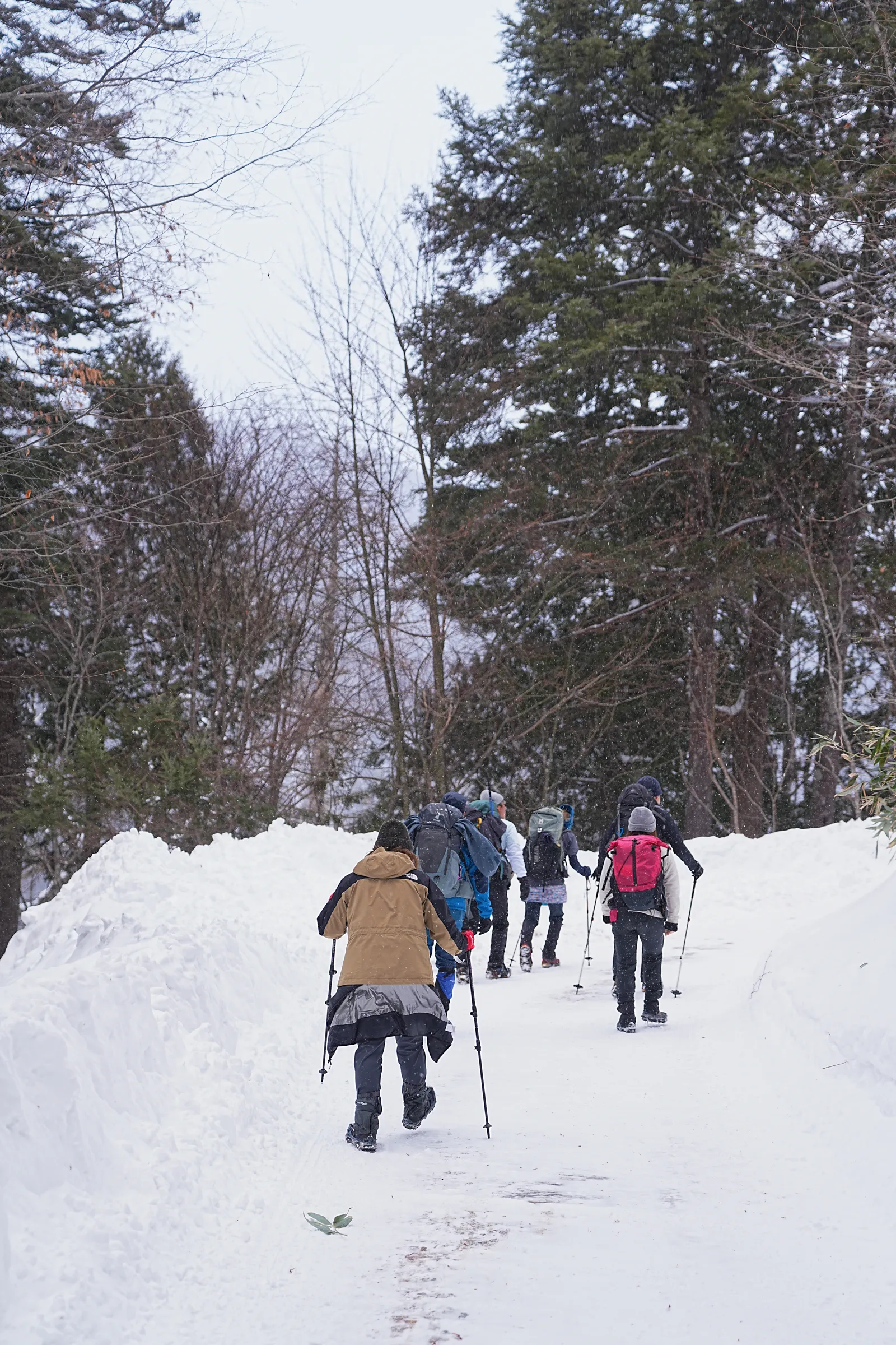 奥鬼怒の秘湯を求めて、手白澤温泉へ雪上ハイキング