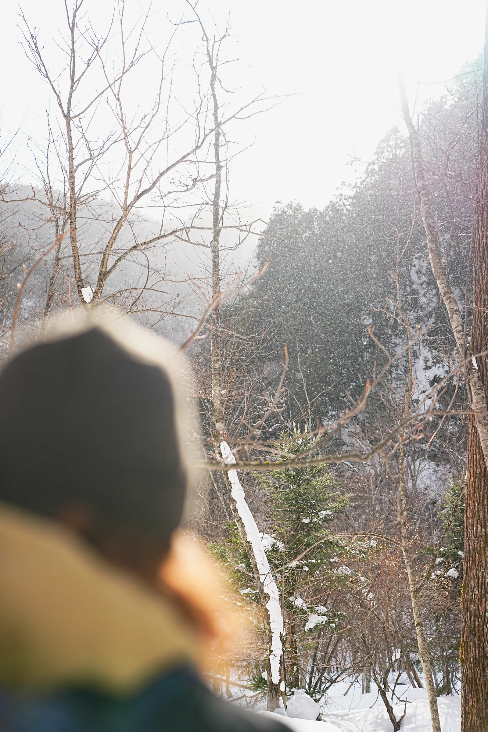奥鬼怒の秘湯を求めて、手白澤温泉へ雪上ハイキング