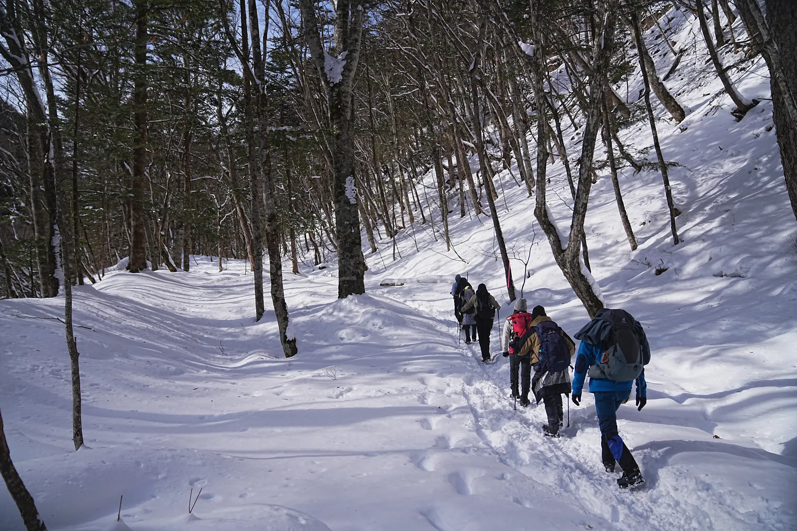 奥鬼怒の秘湯を求めて、手白澤温泉へ雪上ハイキング
