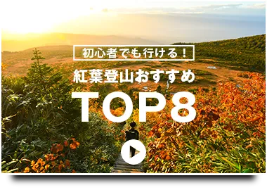 紅葉の山特集