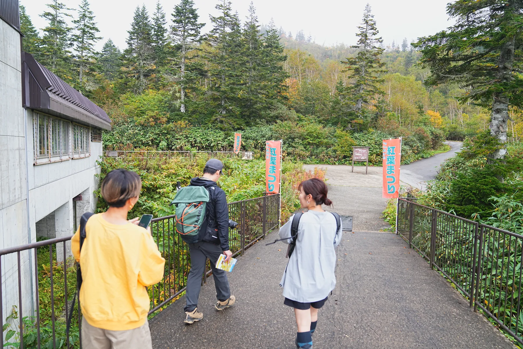 雨の栂池自然園。紅葉＆ミストハイク