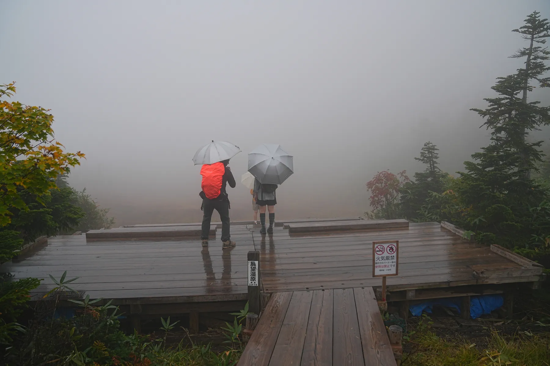 雨の栂池自然園。紅葉＆ミストハイク