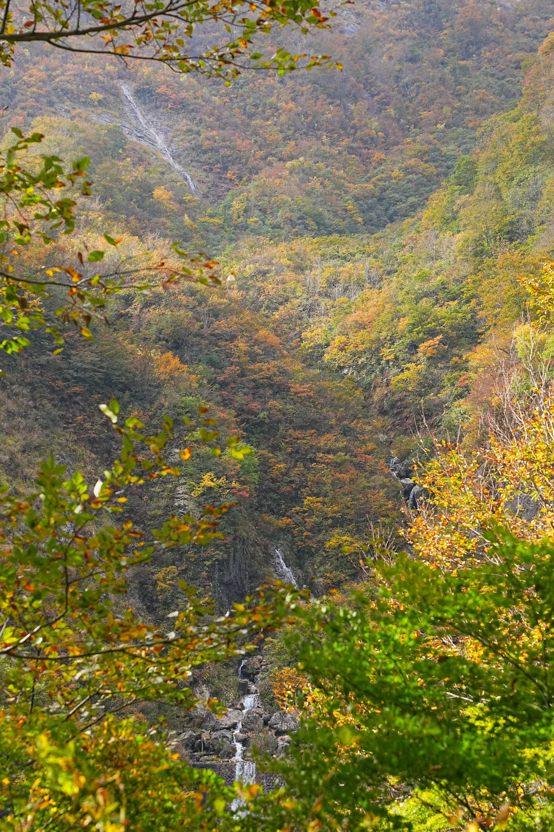 紅葉の裏巻機渓谷。急峻な渓谷を歩く絶壁ハイキング