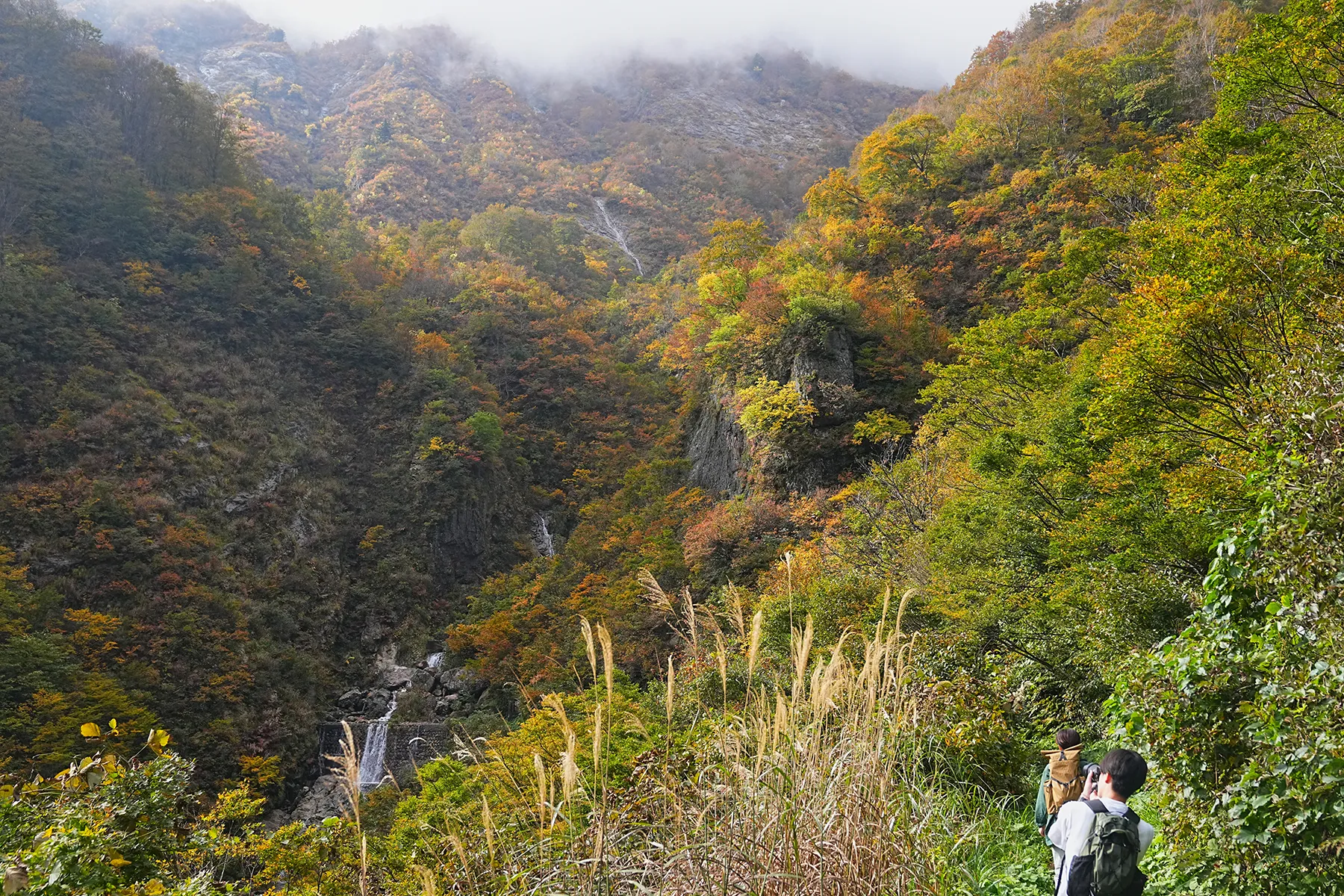 紅葉の裏巻機渓谷。急峻な渓谷を歩く絶壁ハイキング