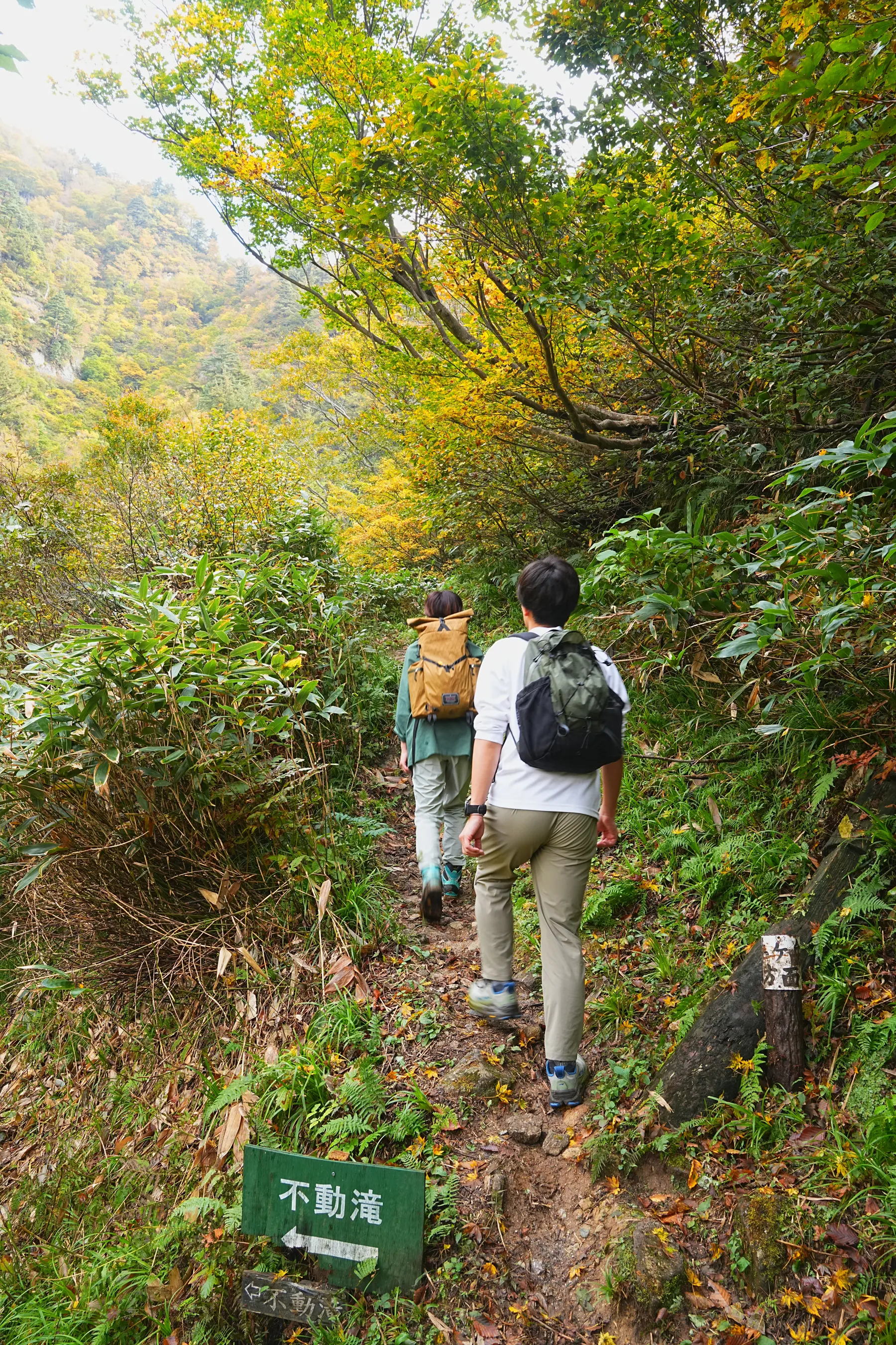 紅葉の裏巻機渓谷。急峻な渓谷を歩く絶壁ハイキング