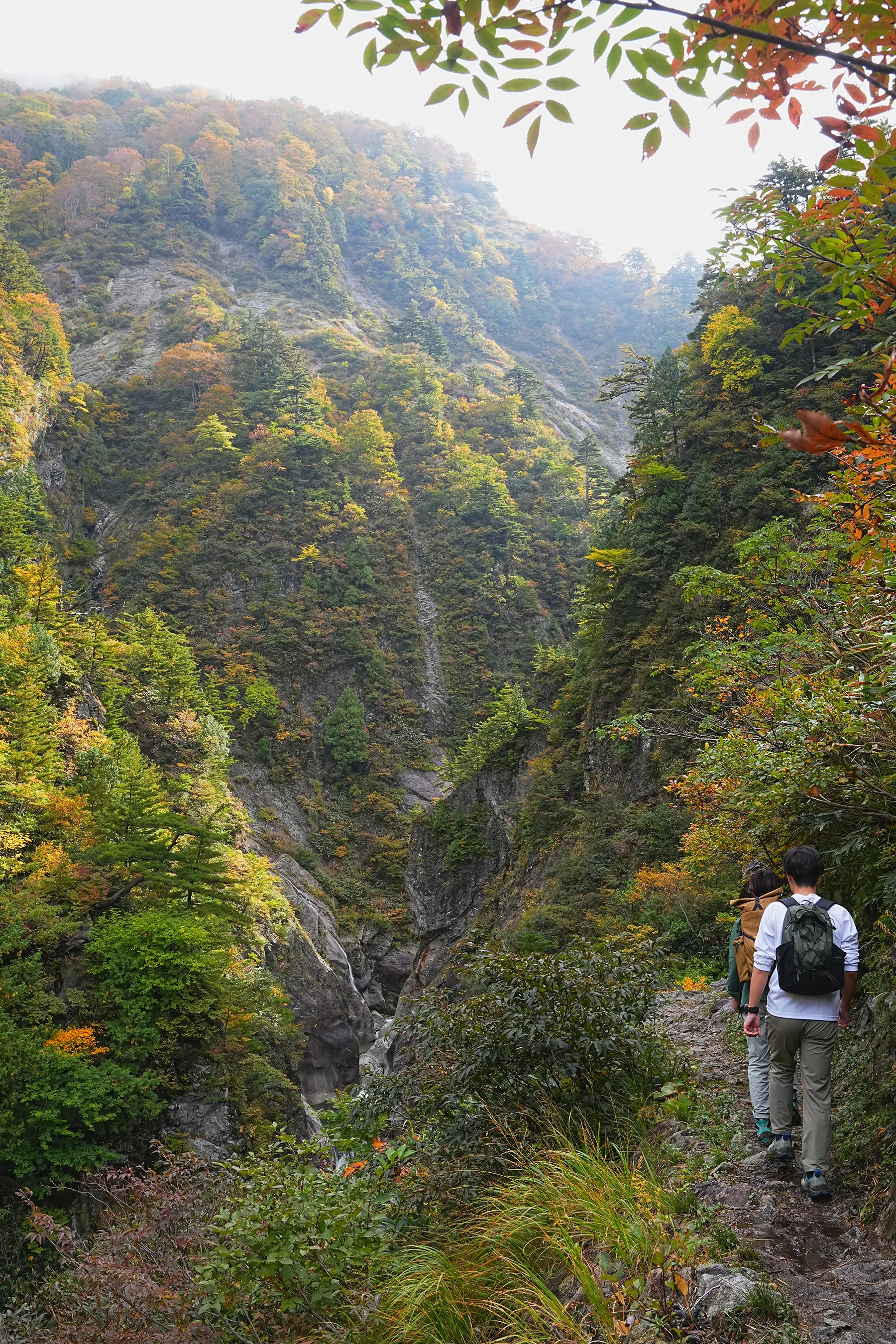 紅葉の裏巻機渓谷。急峻な渓谷を歩く絶壁ハイキング