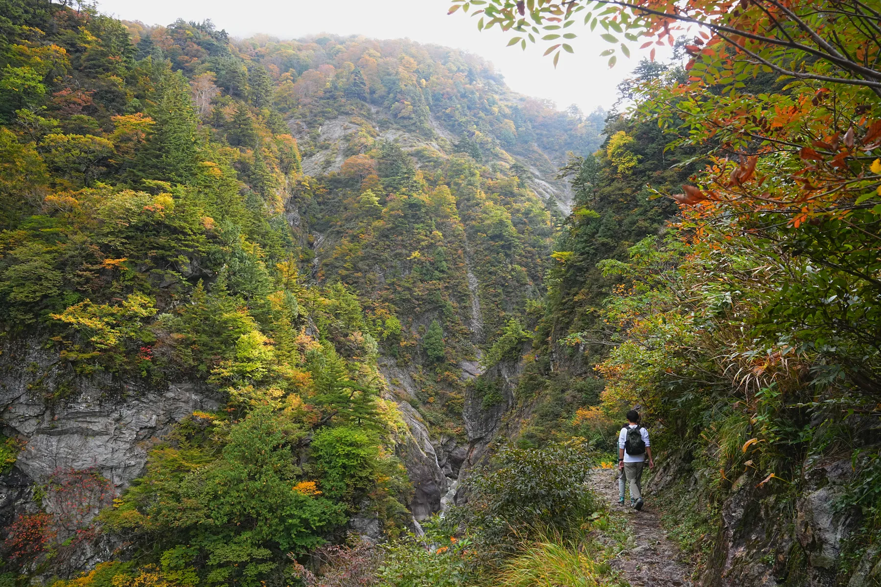 紅葉の裏巻機渓谷。急峻な渓谷を歩く絶壁ハイキング