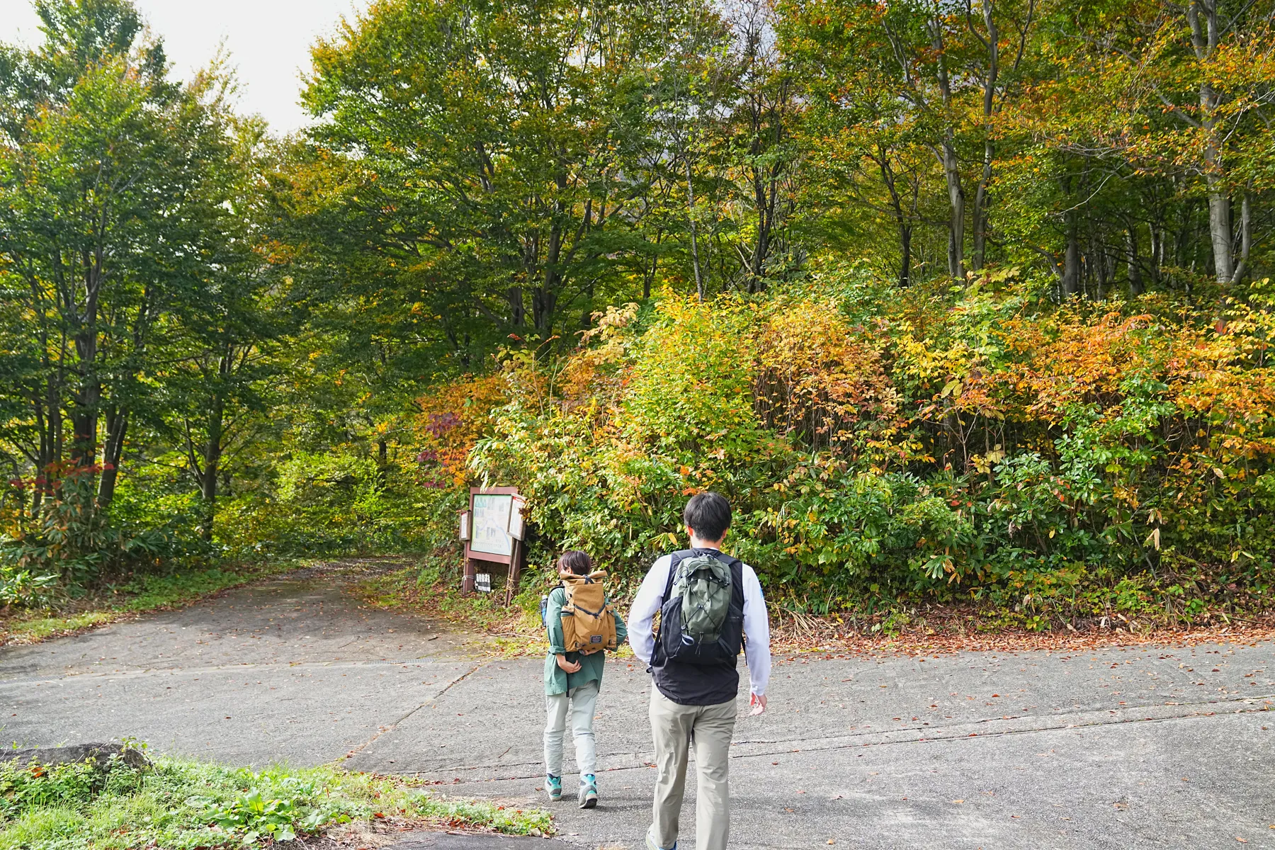 紅葉の裏巻機渓谷。急峻な渓谷を歩く絶壁ハイキング