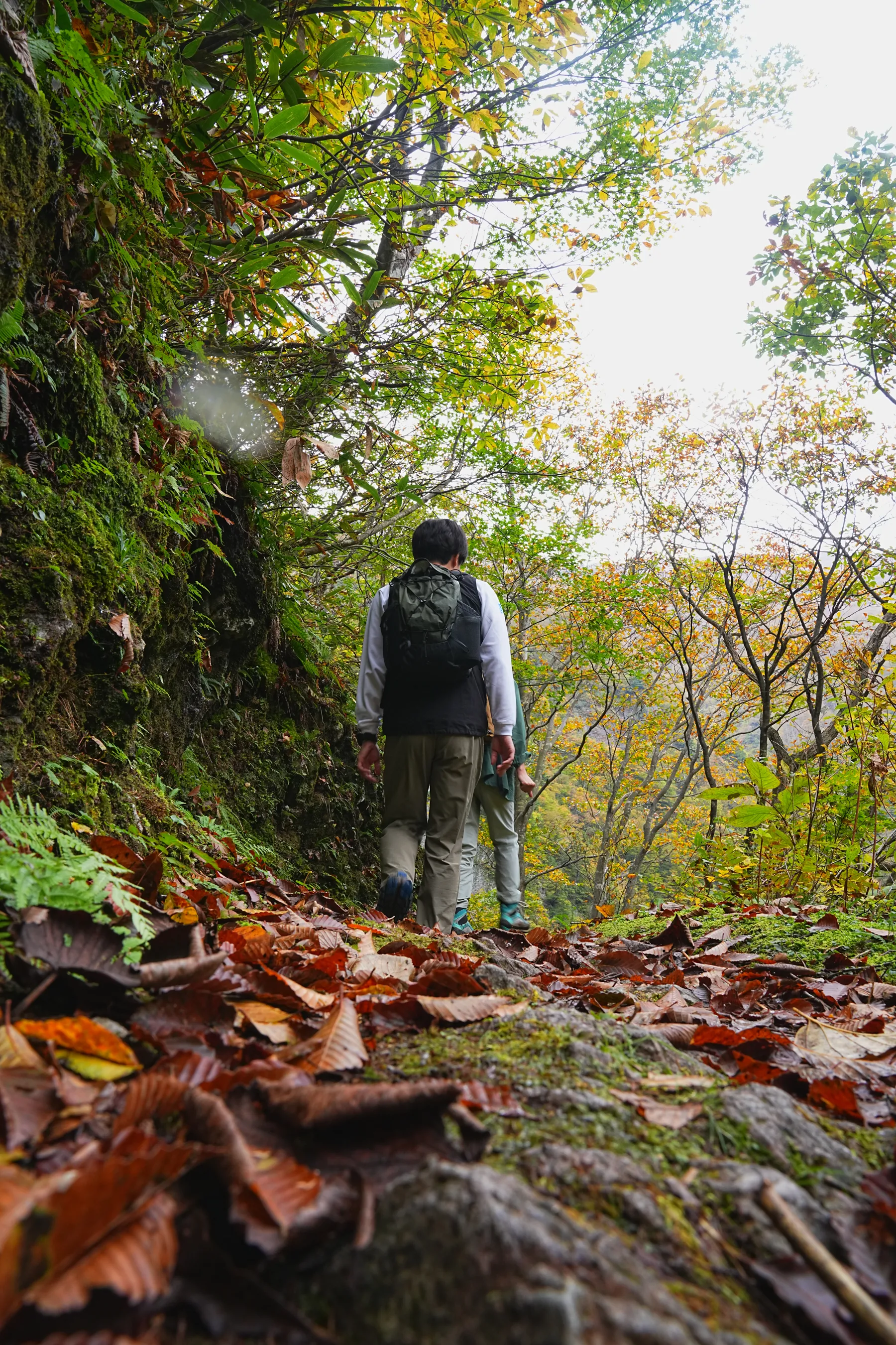 紅葉の裏巻機渓谷。急峻な渓谷を歩く絶壁ハイキング