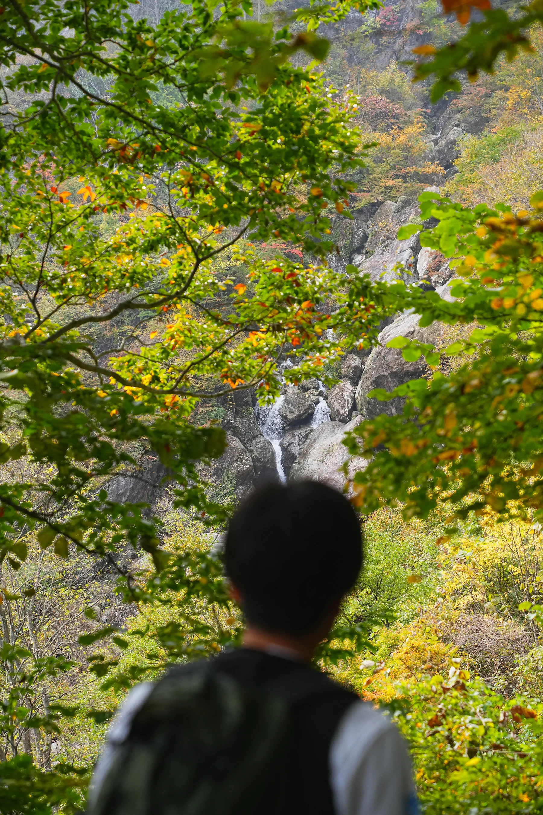 紅葉の裏巻機渓谷。急峻な渓谷を歩く絶壁ハイキング