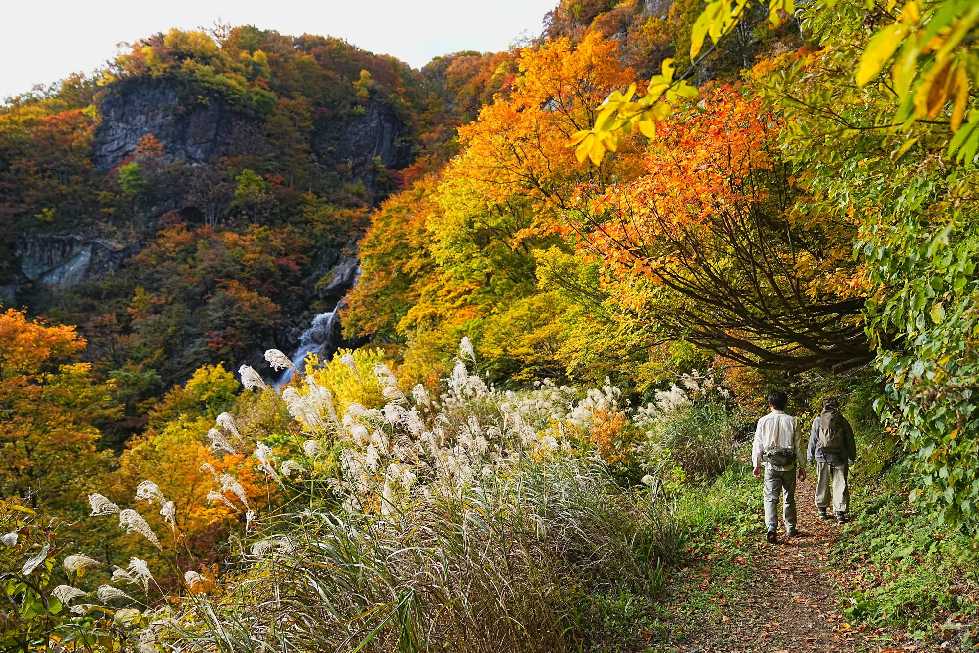 紅葉がピーク！裏巻機渓谷で紅葉ハイキング！