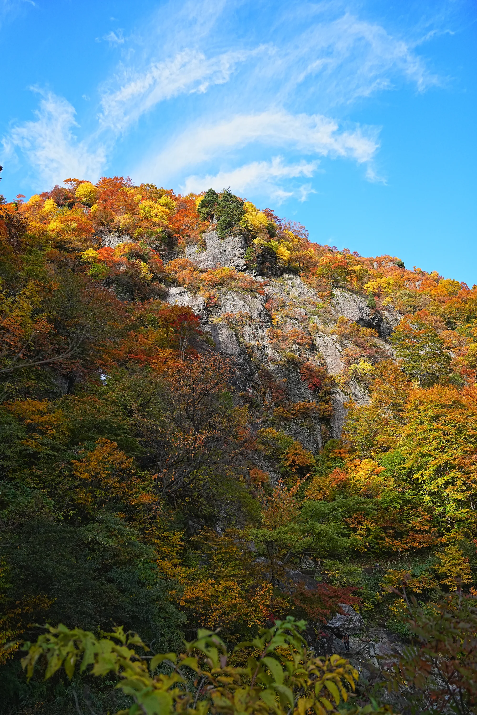 紅葉がピーク！裏巻機渓谷で紅葉ハイキング！