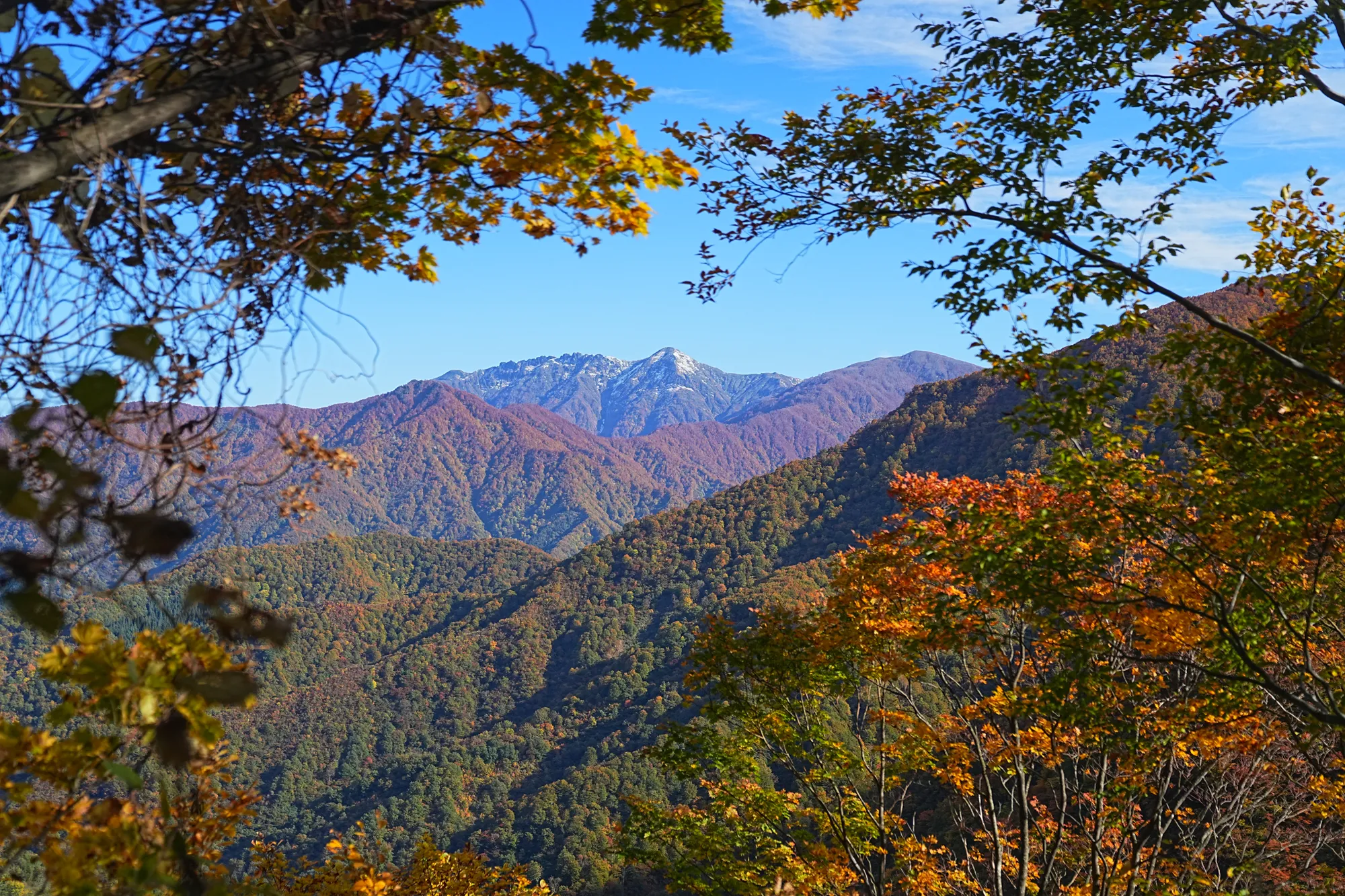 紅葉がピーク！裏巻機渓谷で紅葉ハイキング！