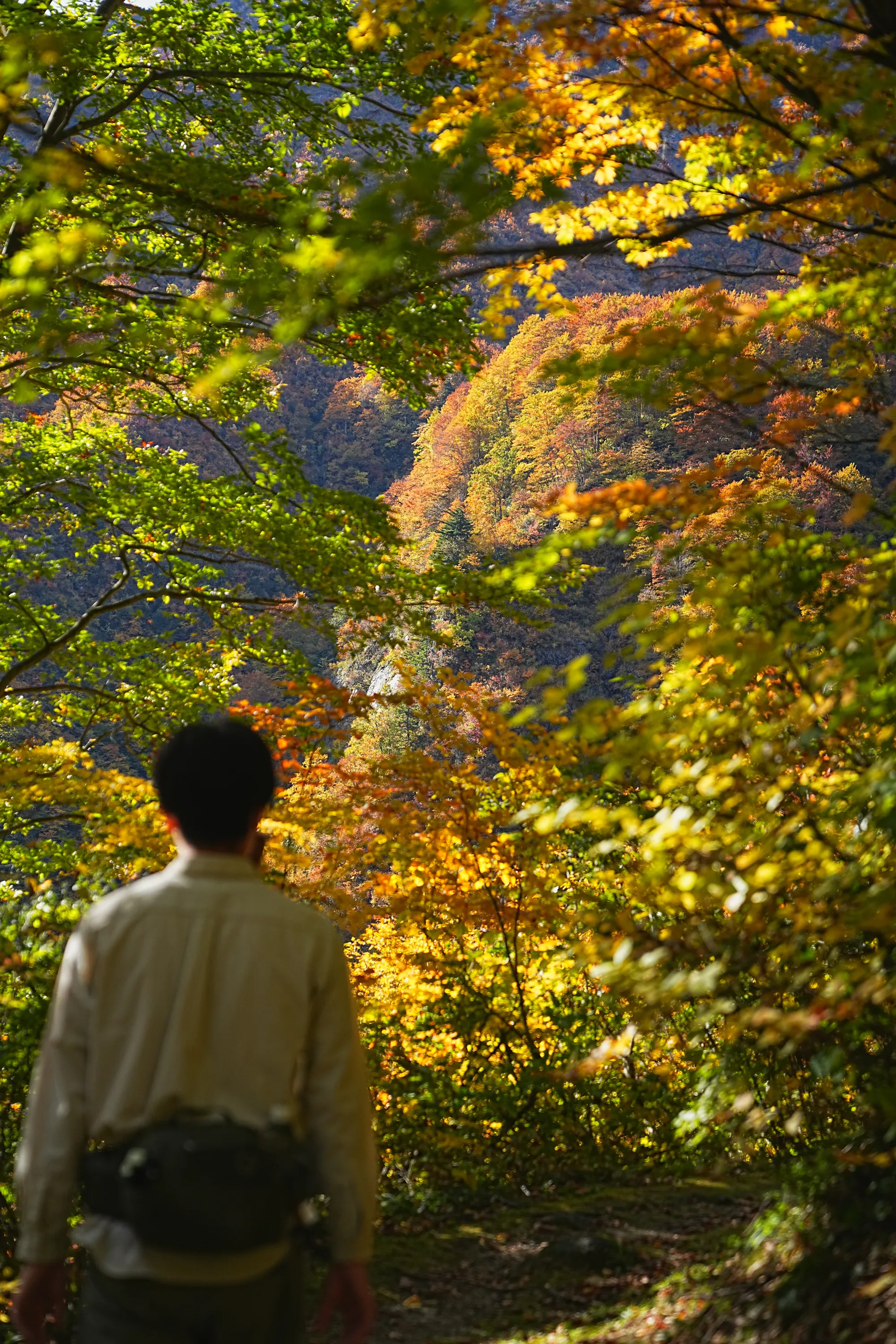 紅葉がピーク！裏巻機渓谷で紅葉ハイキング！