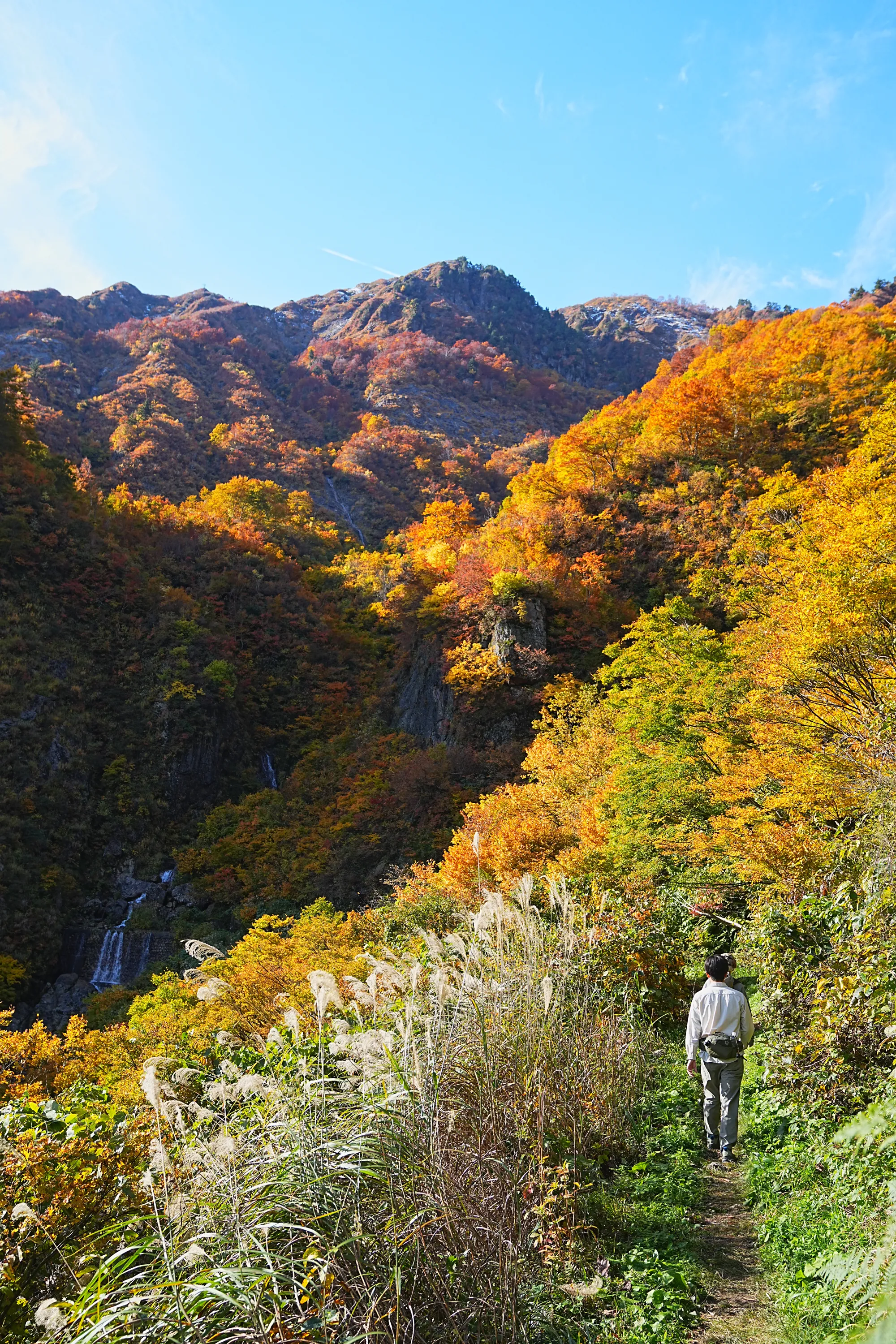 紅葉がピーク！裏巻機渓谷で紅葉ハイキング！
