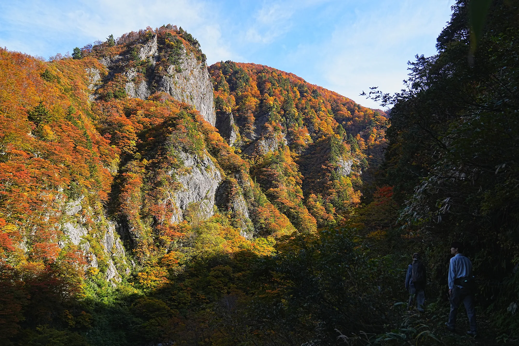 紅葉がピーク！裏巻機渓谷で紅葉ハイキング！
