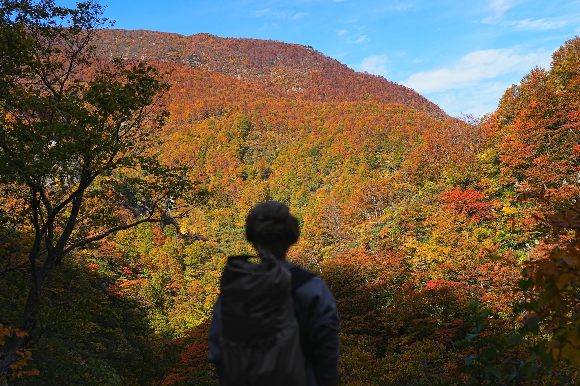 紅葉がピーク！裏巻機渓谷で紅葉ハイキング！