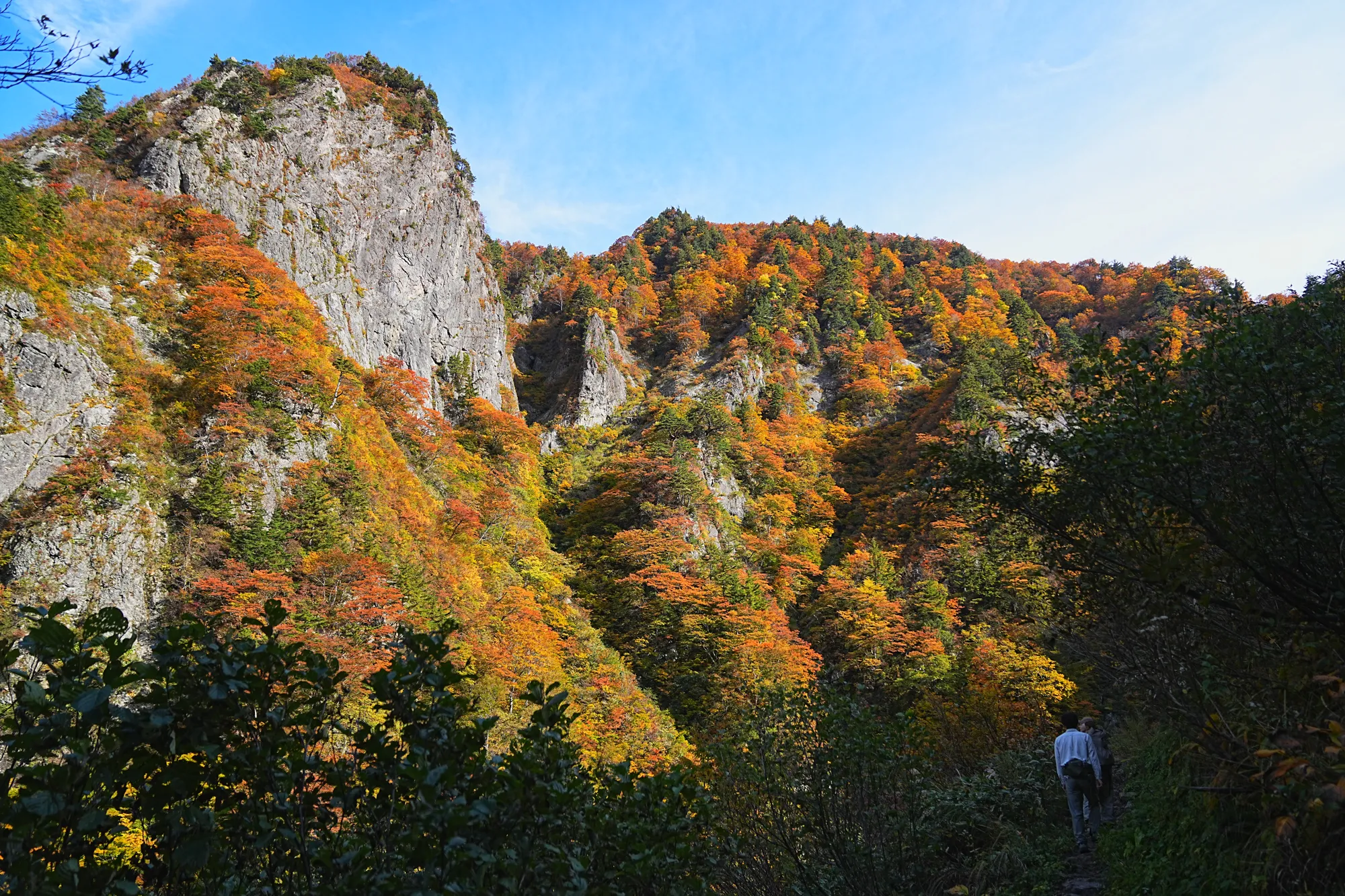 紅葉がピーク！裏巻機渓谷で紅葉ハイキング！