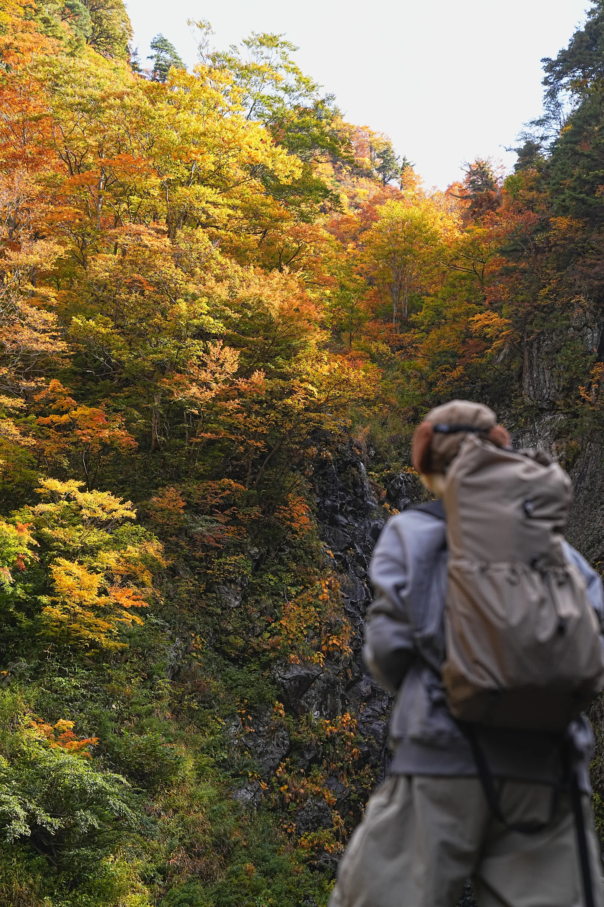 紅葉がピーク！裏巻機渓谷で紅葉ハイキング！