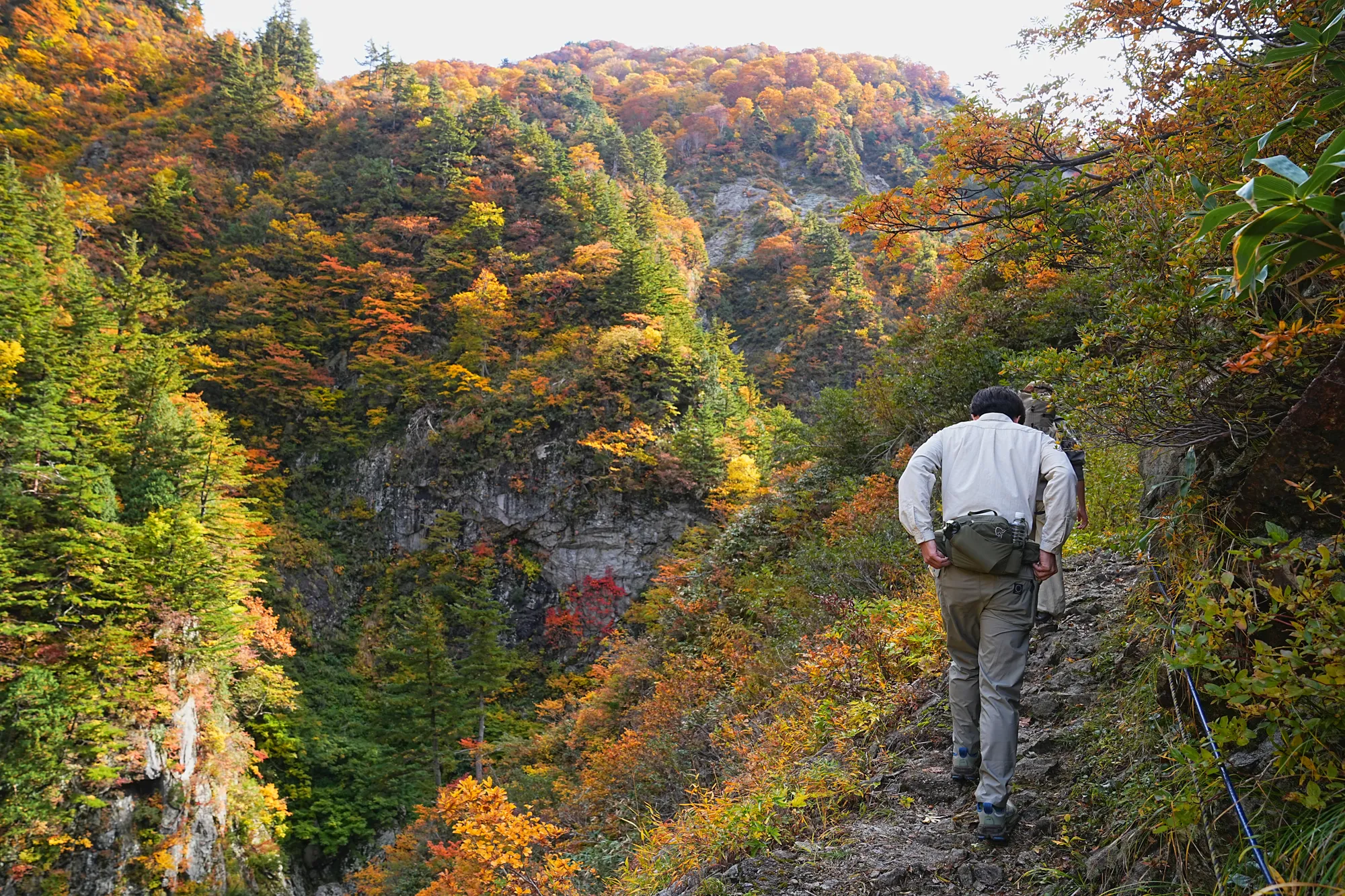 紅葉がピーク！裏巻機渓谷で紅葉ハイキング！