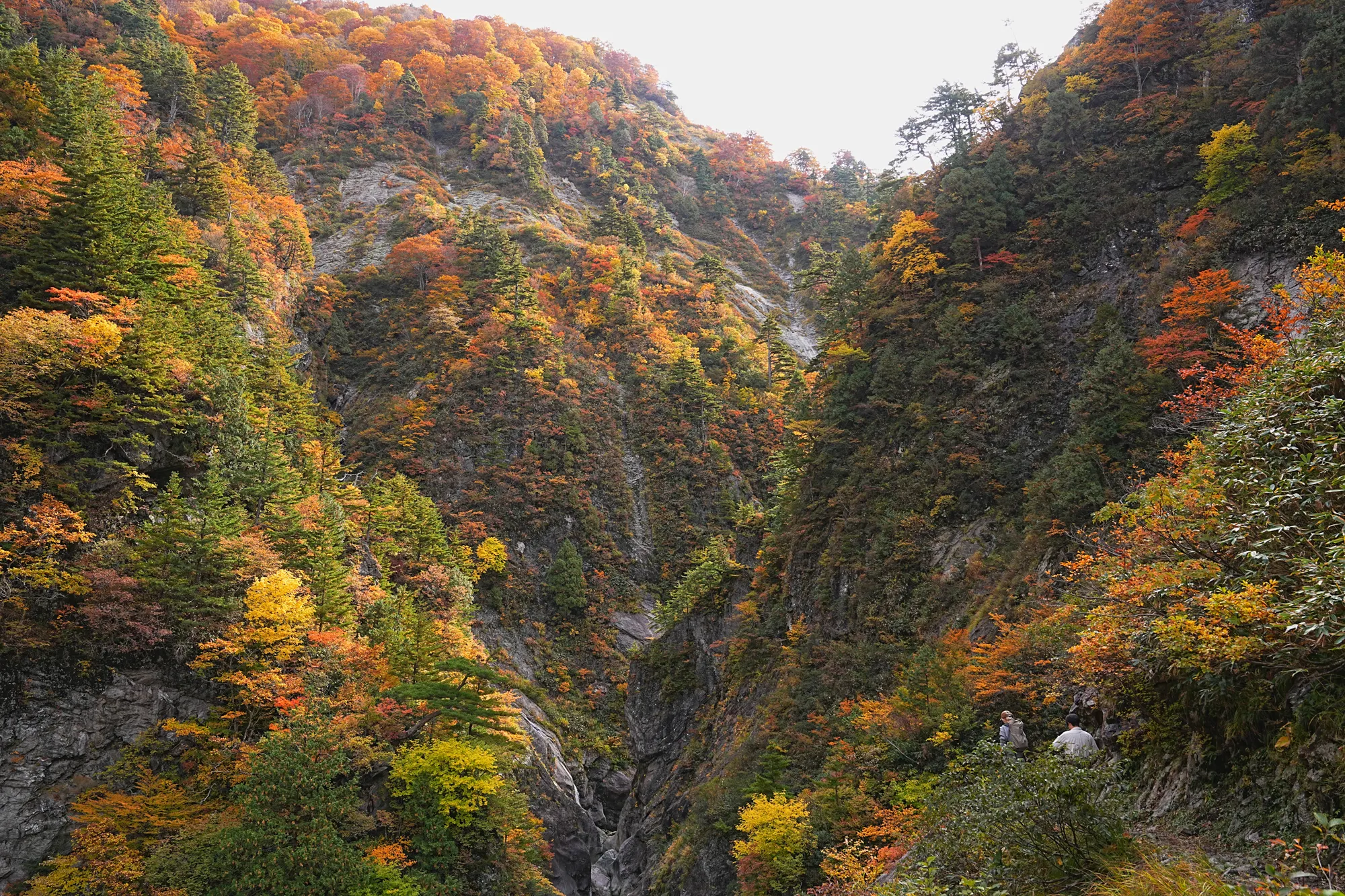 紅葉がピーク！裏巻機渓谷で紅葉ハイキング！
