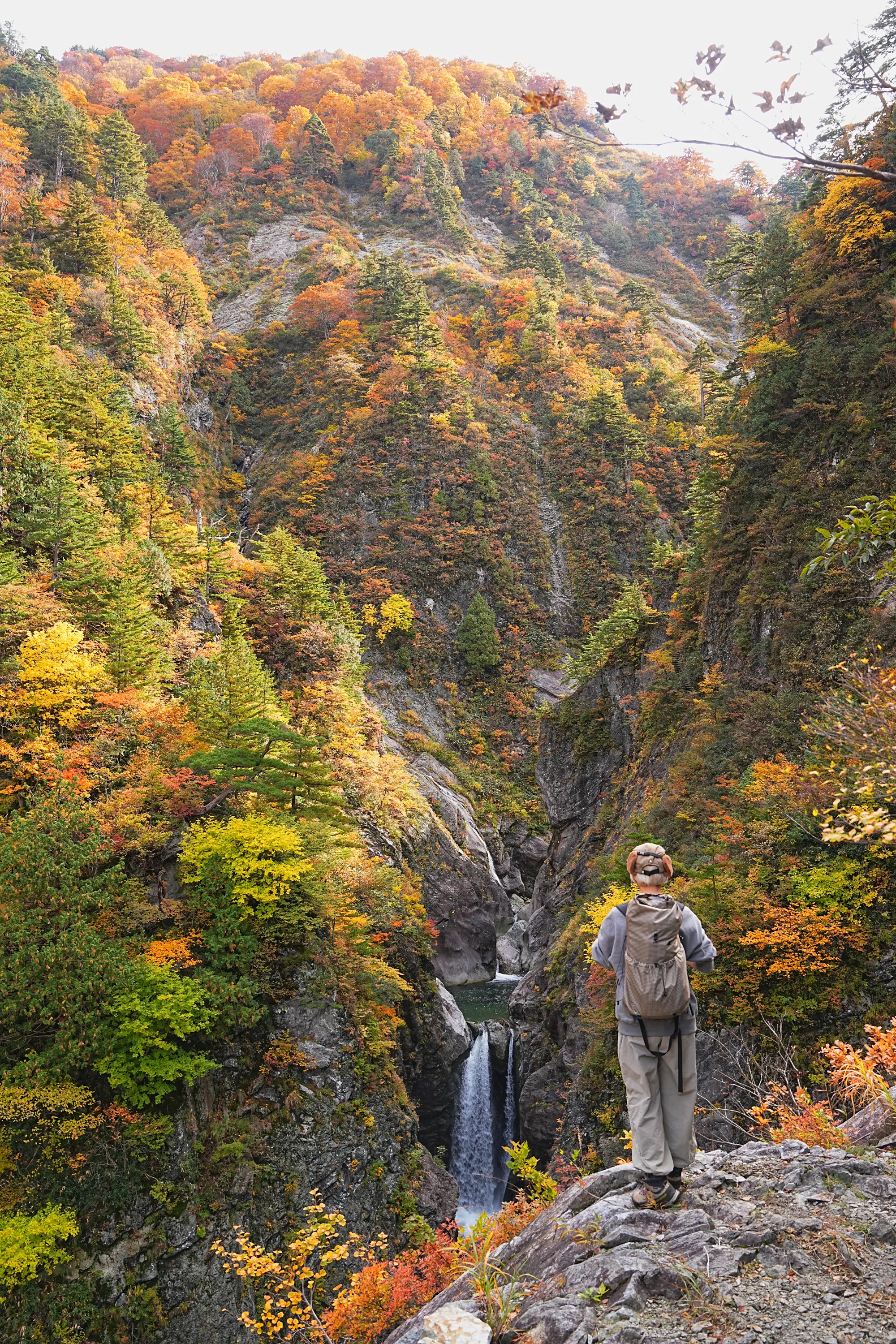 紅葉がピーク！裏巻機渓谷で紅葉ハイキング！