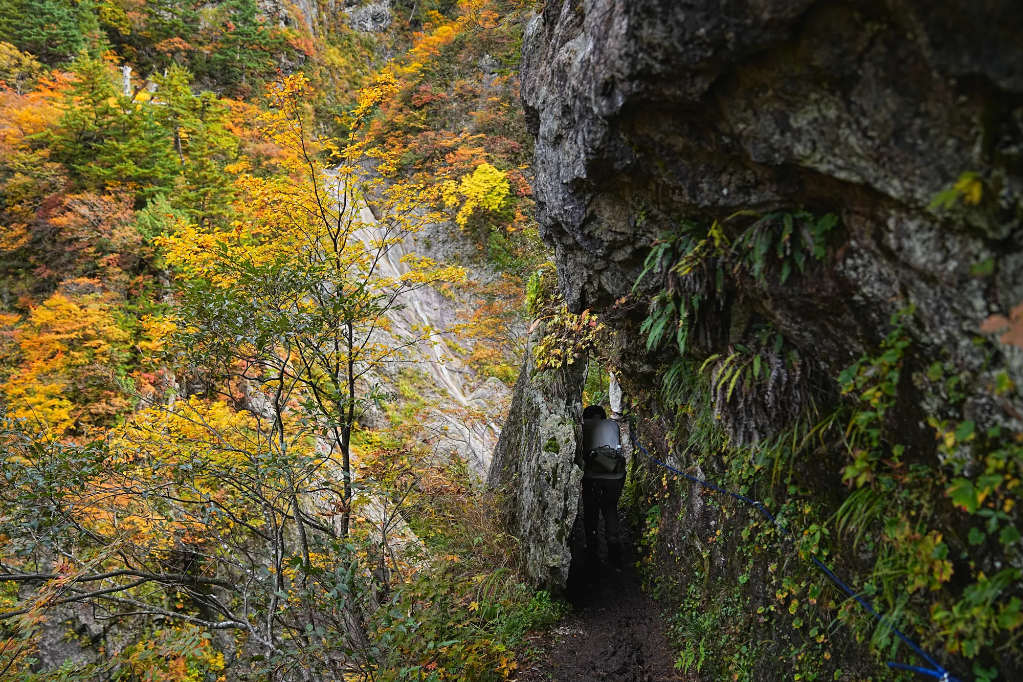 紅葉がピーク！裏巻機渓谷で紅葉ハイキング！