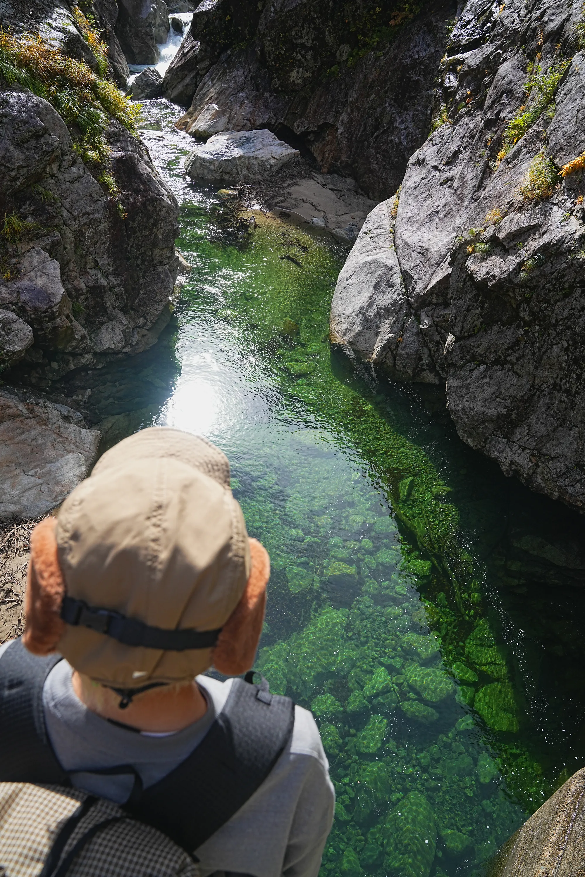 紅葉がピーク！裏巻機渓谷で紅葉ハイキング！