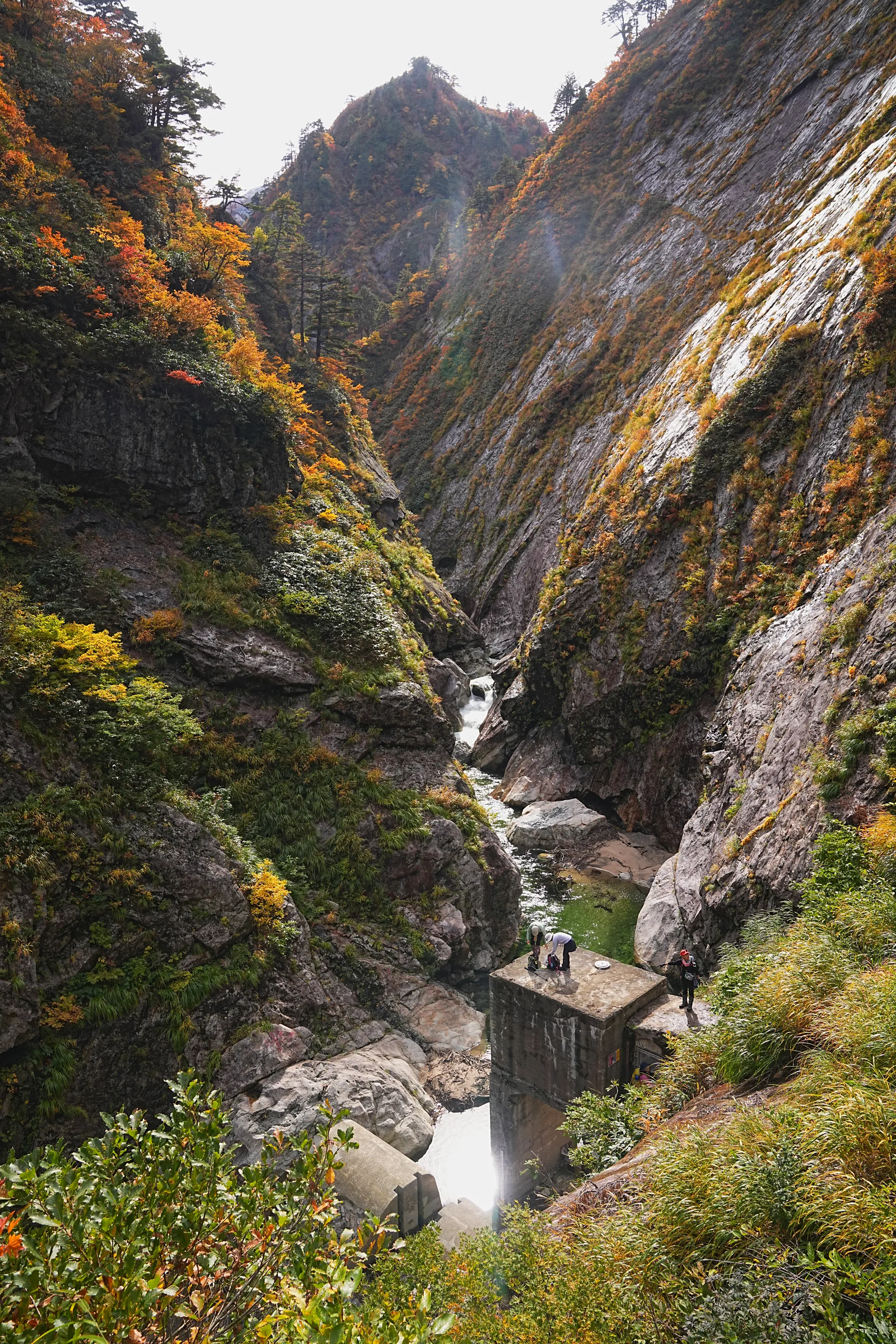 紅葉がピーク！裏巻機渓谷で紅葉ハイキング！