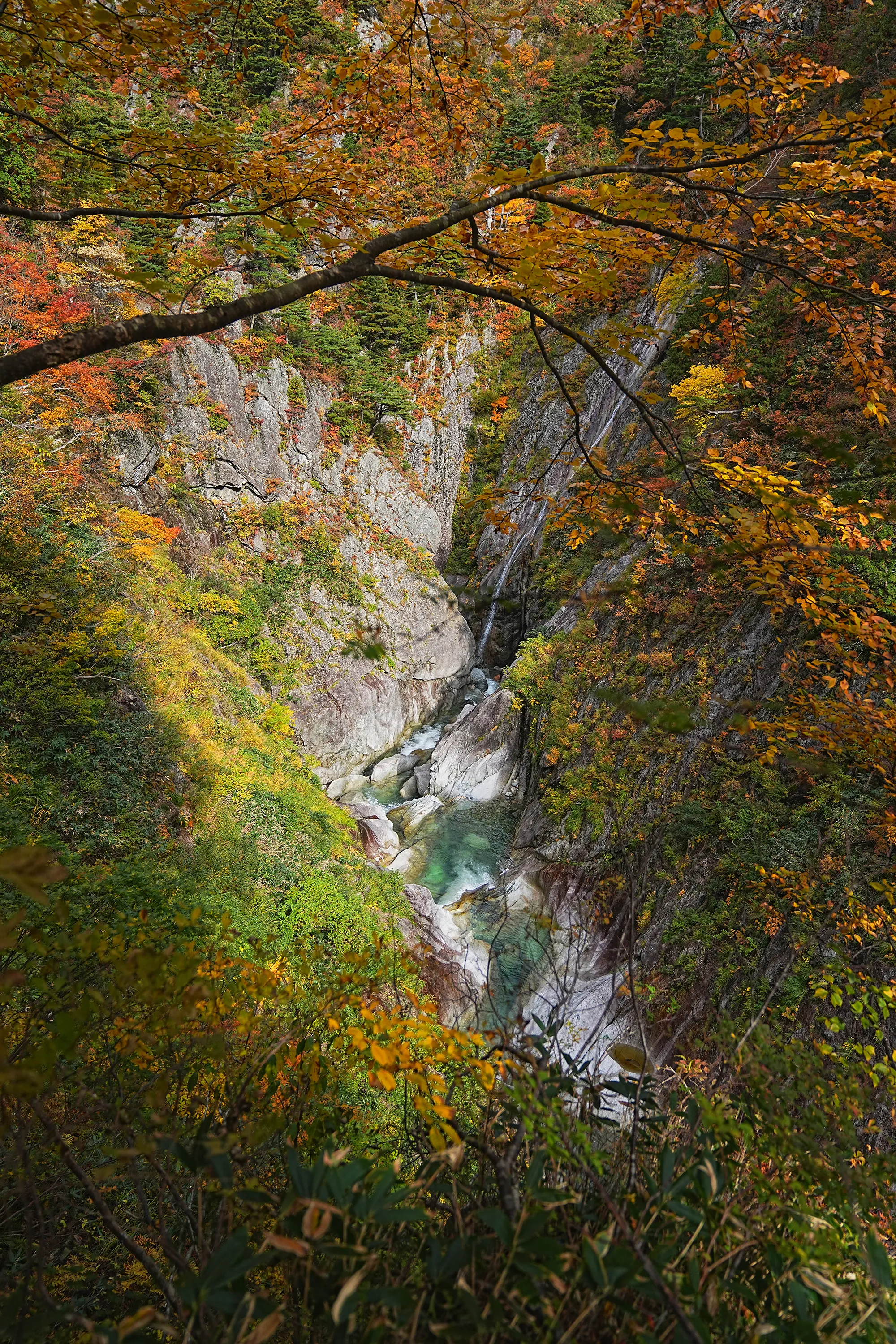 紅葉がピーク！裏巻機渓谷で紅葉ハイキング！