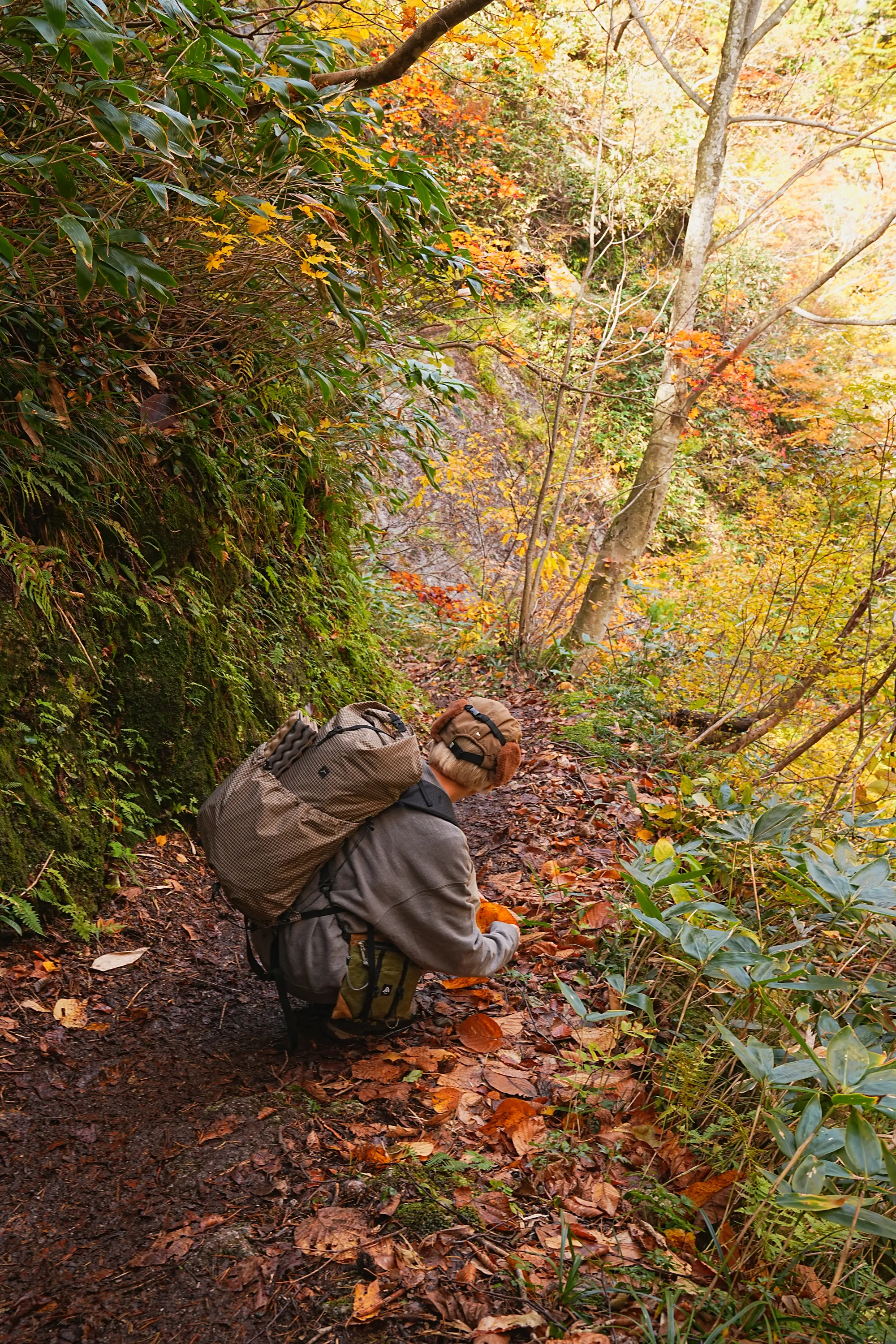 紅葉がピーク！裏巻機渓谷で紅葉ハイキング！
