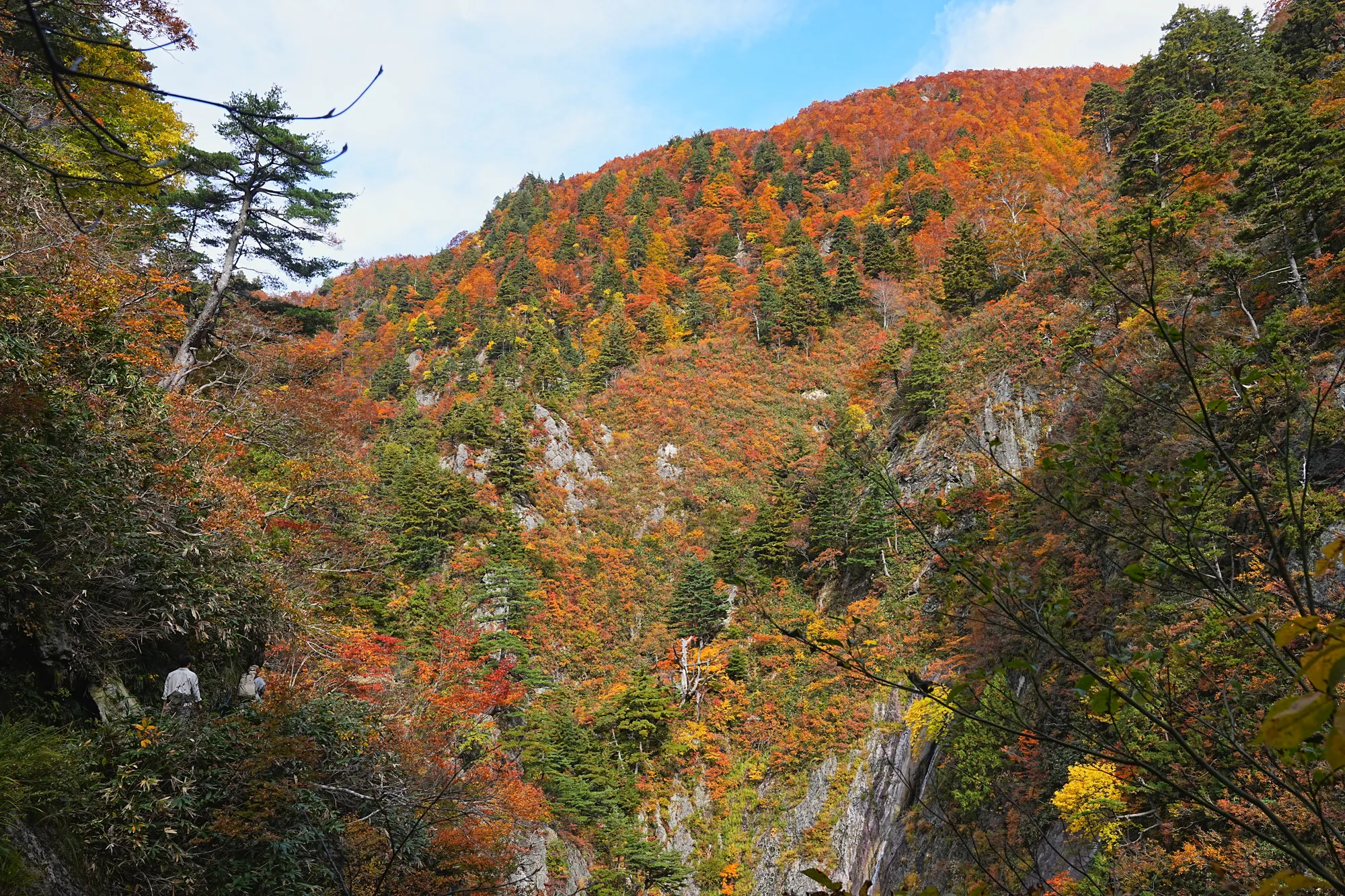 紅葉がピーク！裏巻機渓谷で紅葉ハイキング！