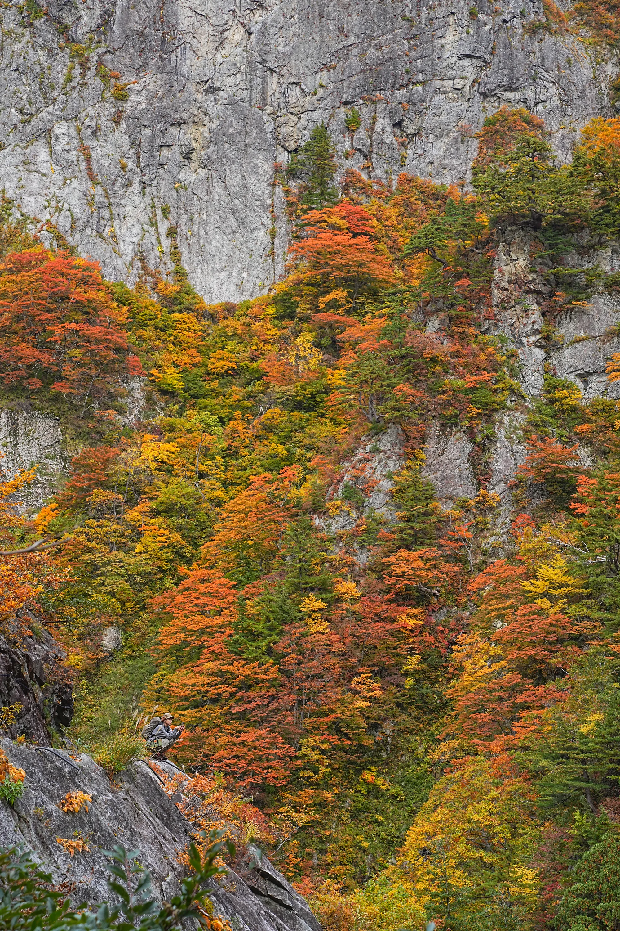 紅葉がピーク！裏巻機渓谷で紅葉ハイキング！
