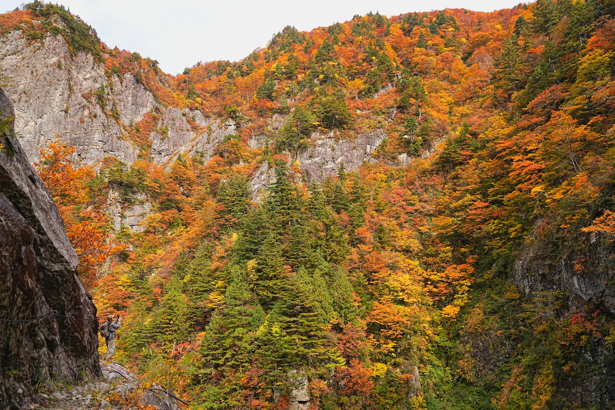 紅葉がピーク！裏巻機渓谷で紅葉ハイキング！
