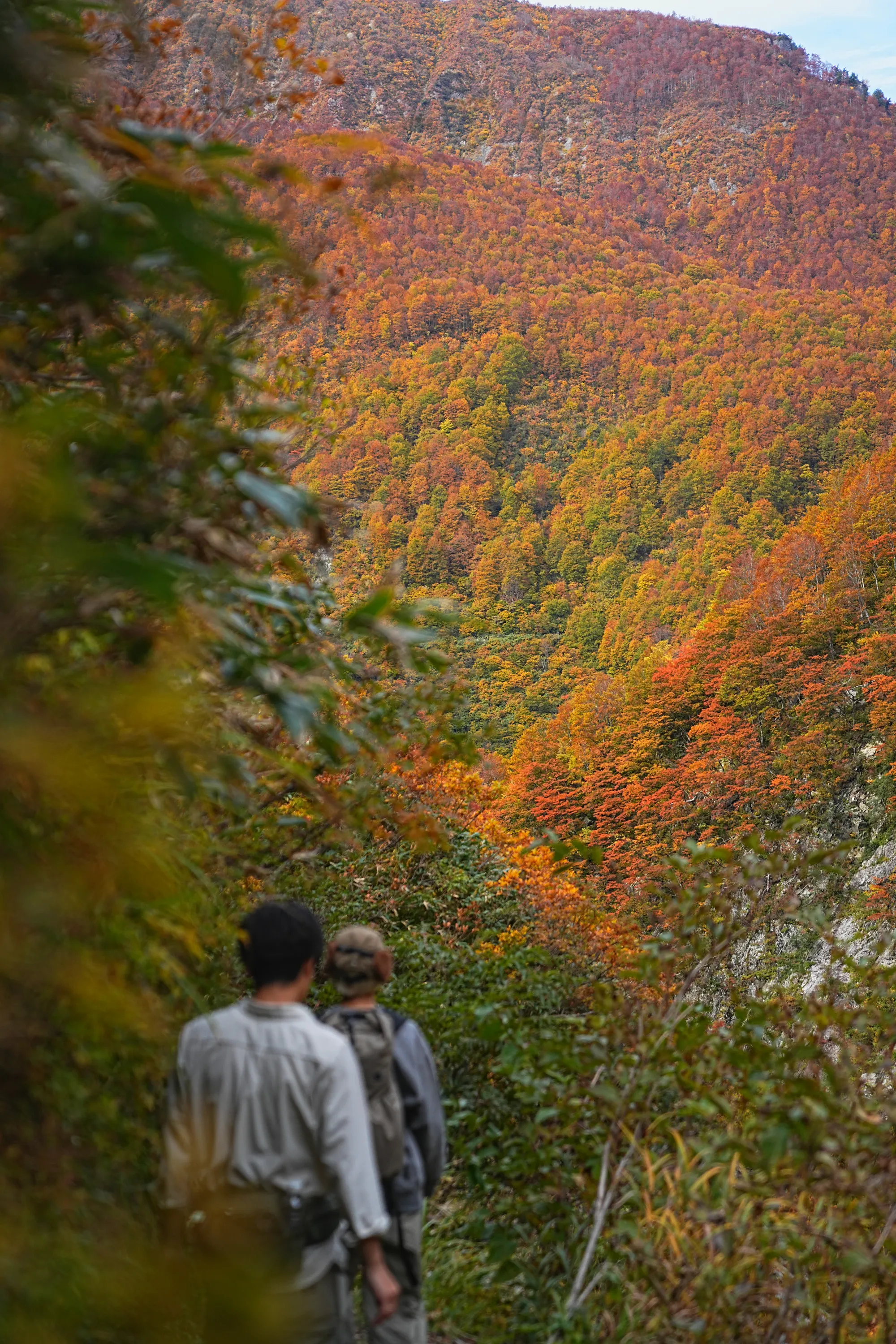 紅葉がピーク！裏巻機渓谷で紅葉ハイキング！