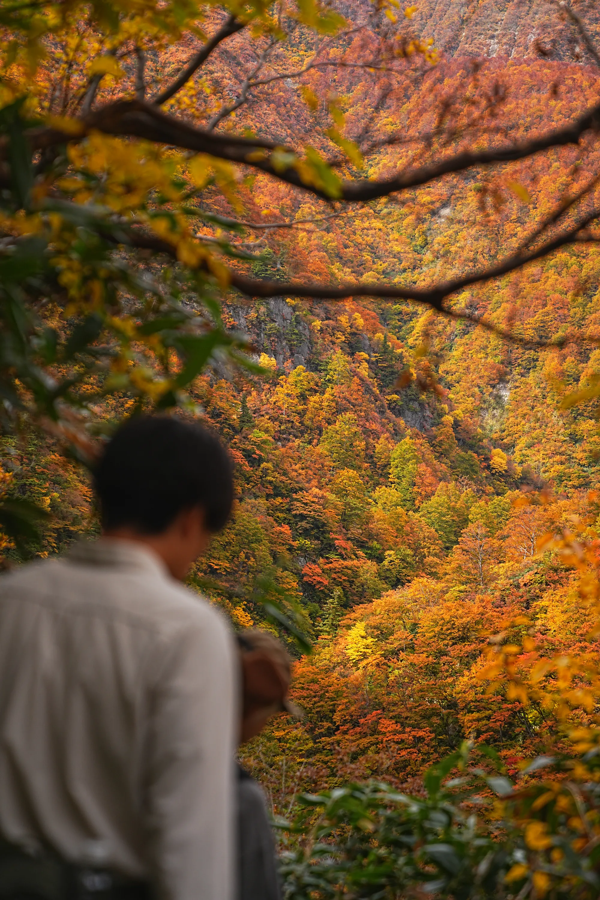紅葉がピーク！裏巻機渓谷で紅葉ハイキング！