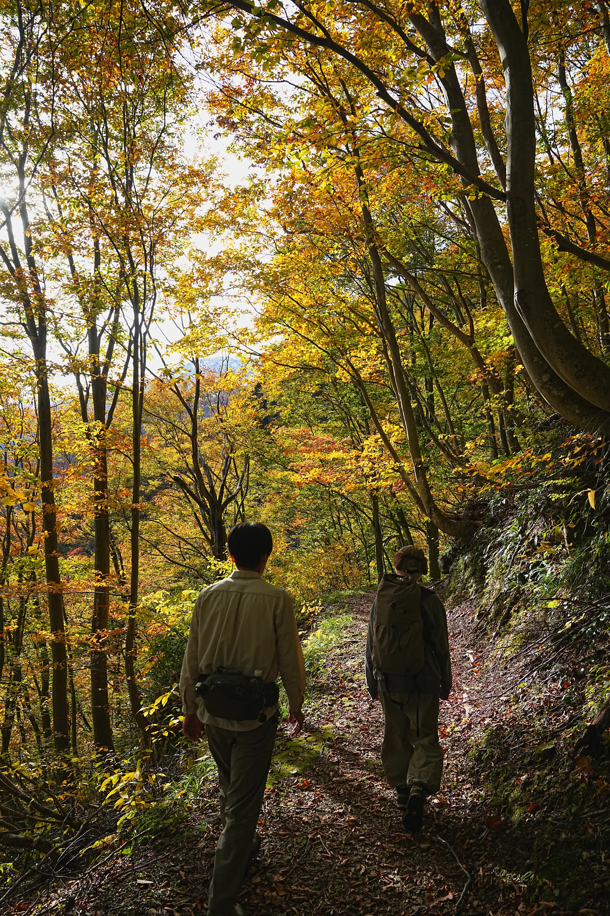 紅葉がピーク！裏巻機渓谷で紅葉ハイキング！