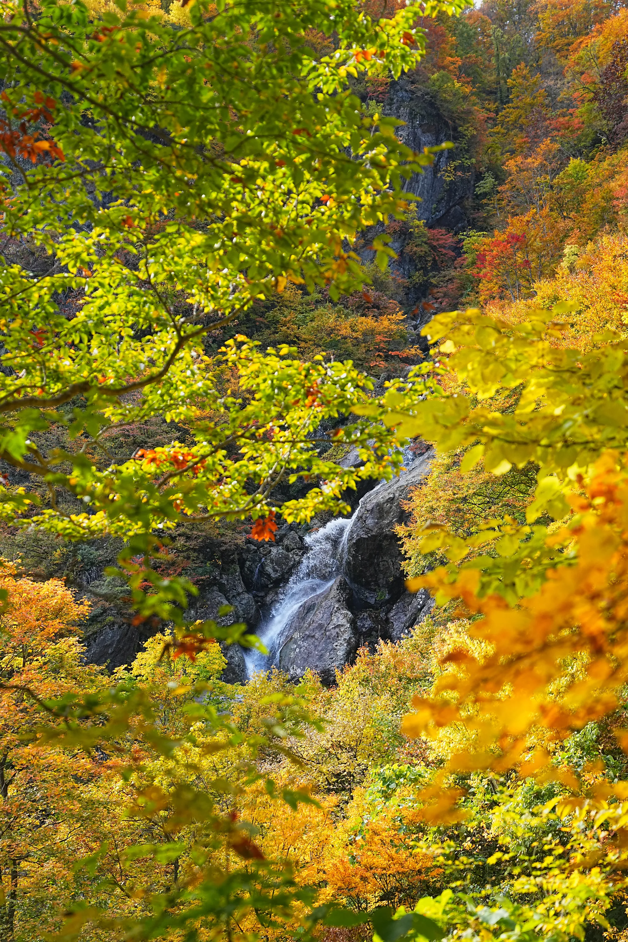 紅葉がピーク！裏巻機渓谷で紅葉ハイキング！