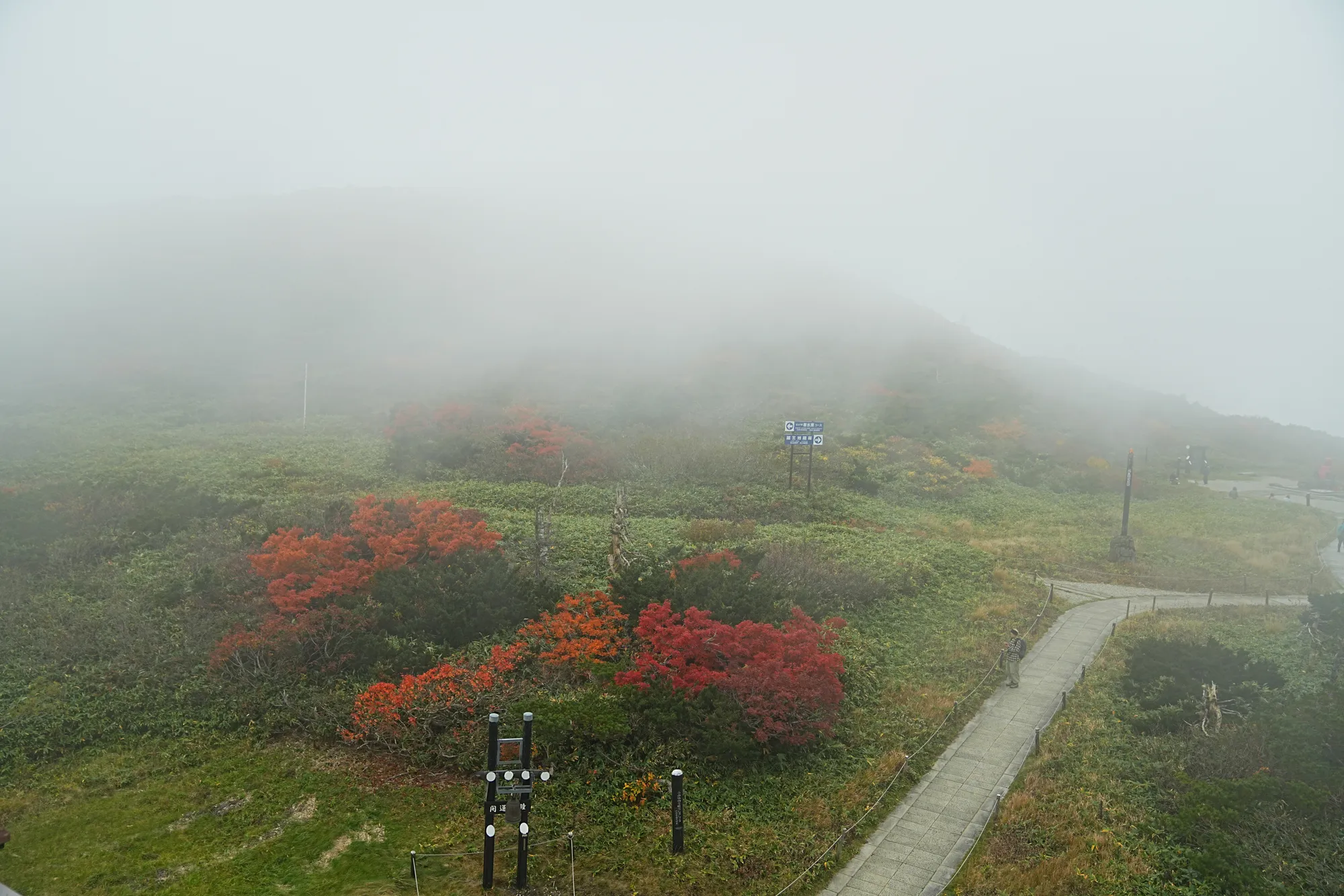 蔵王をロープウェイで楽々紅葉ハイキング