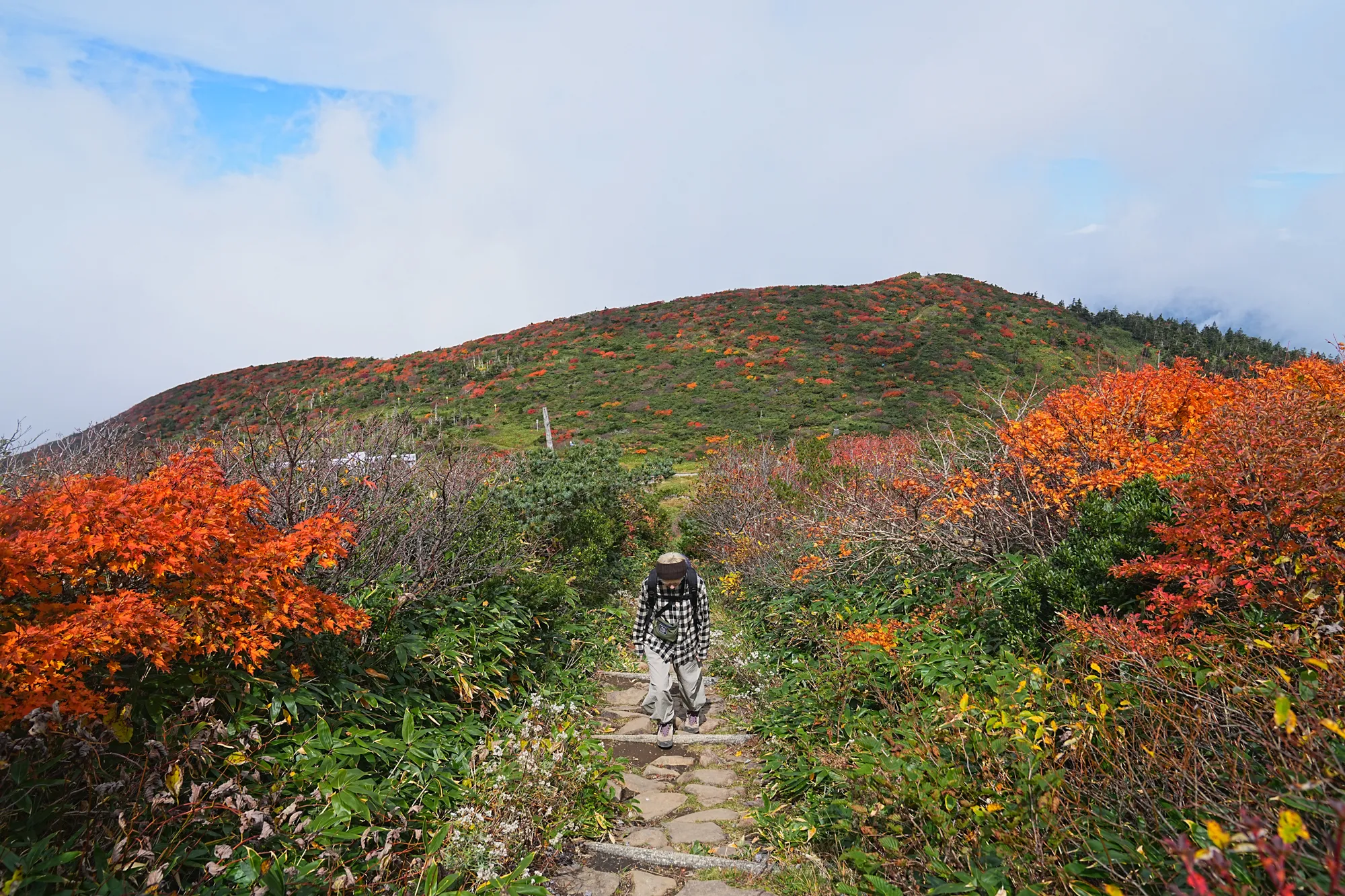 蔵王をロープウェイで楽々紅葉ハイキング