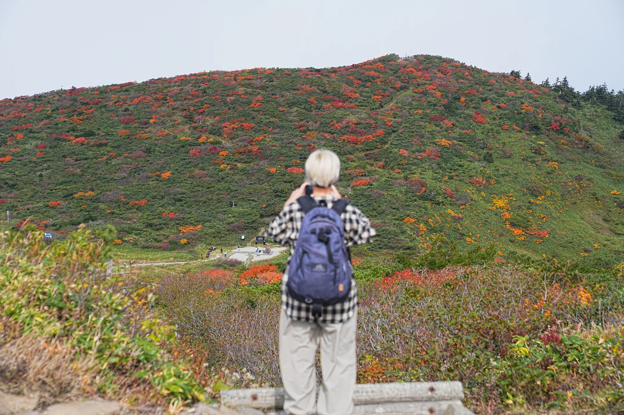 蔵王をロープウェイで楽々紅葉ハイキング