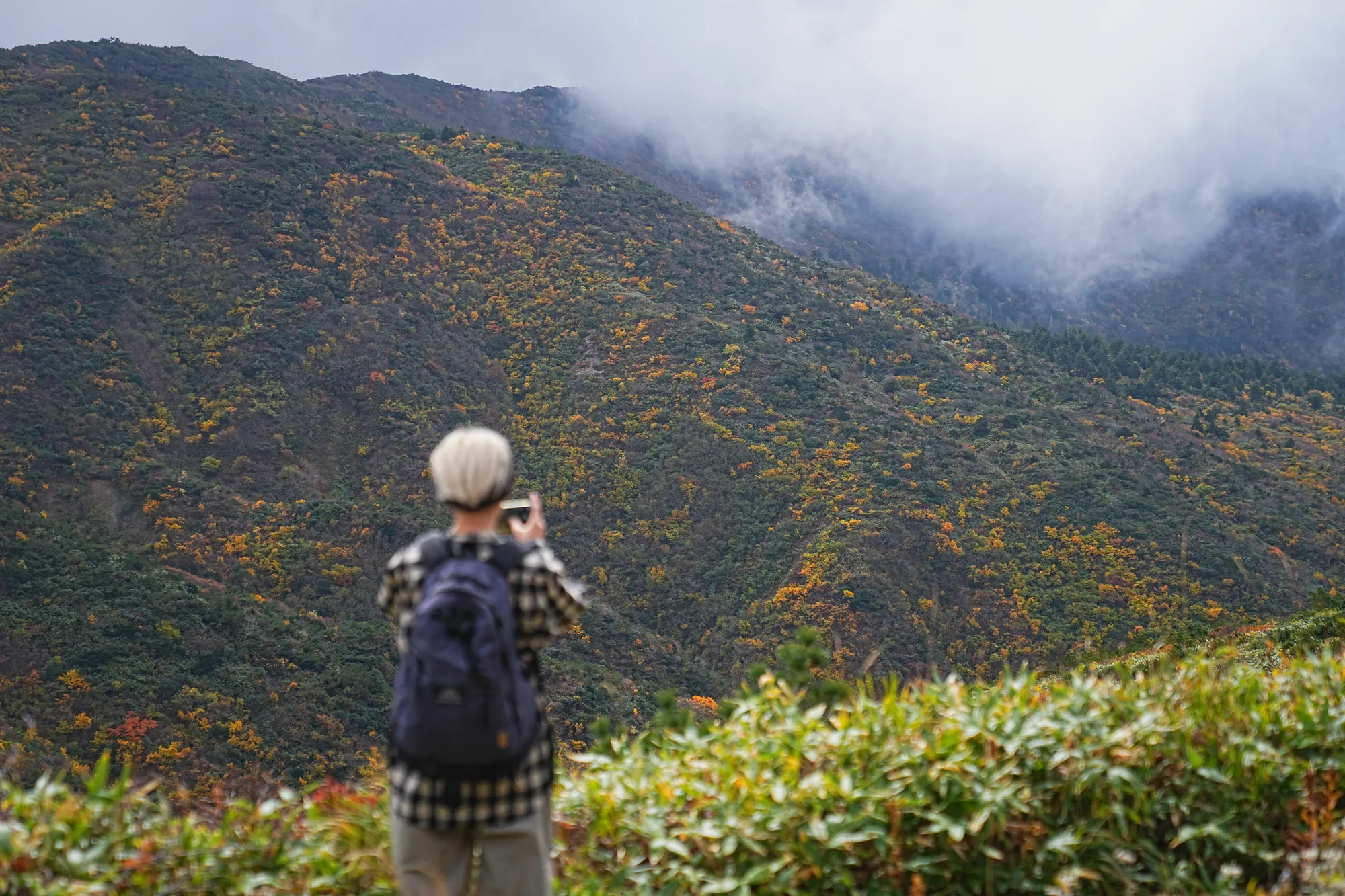 蔵王をロープウェイで楽々紅葉ハイキング