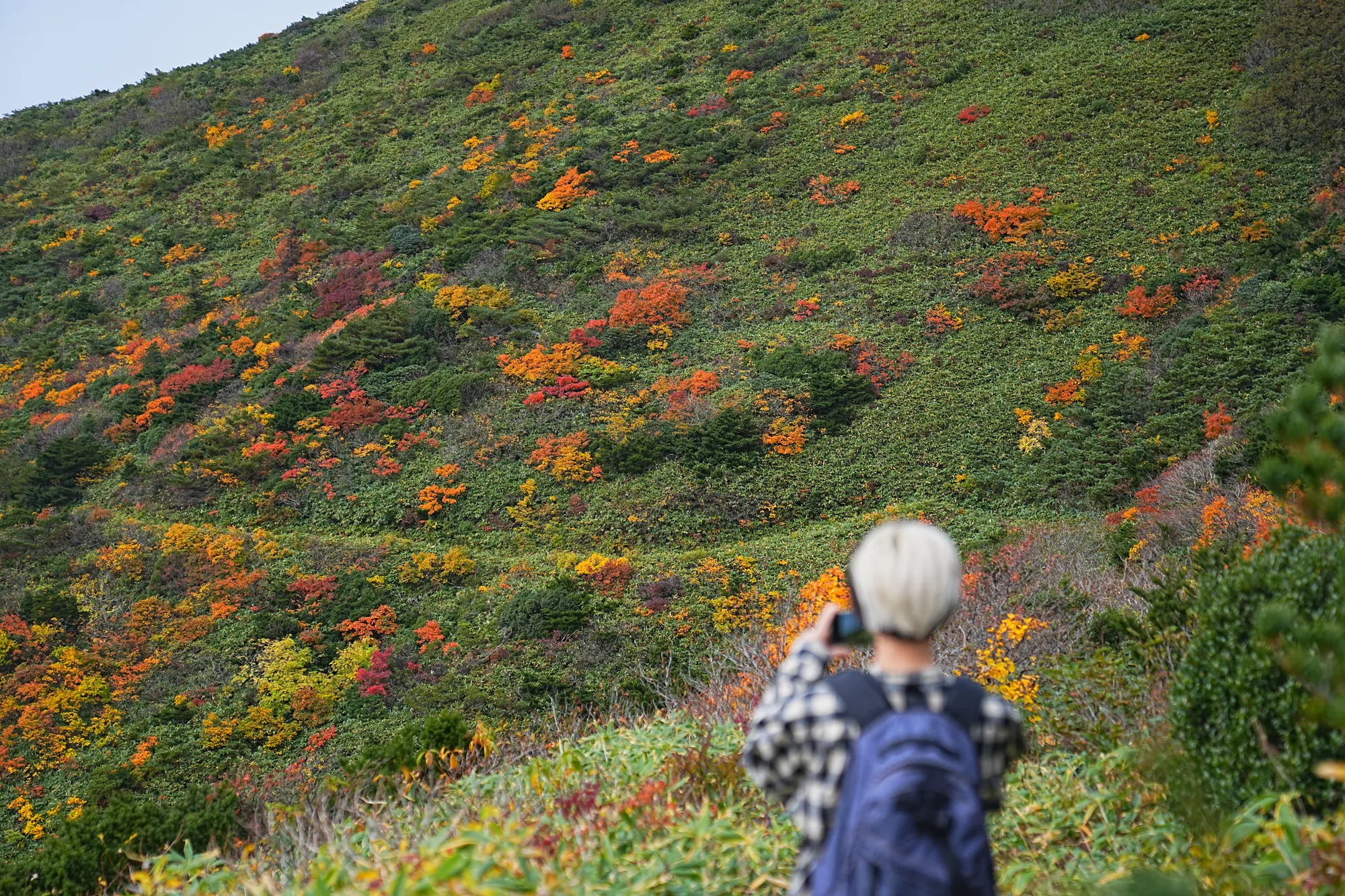 蔵王をロープウェイで楽々紅葉ハイキング