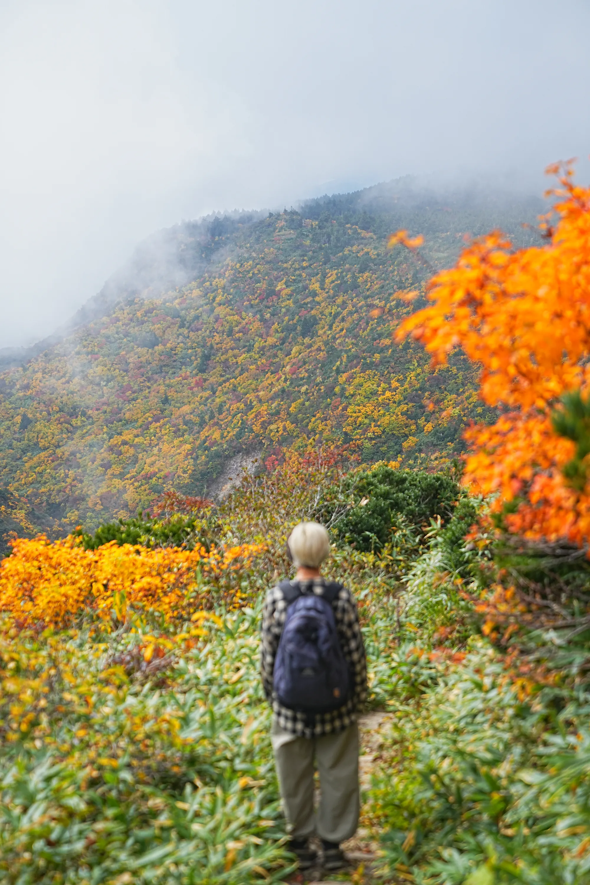 蔵王をロープウェイで楽々紅葉ハイキング