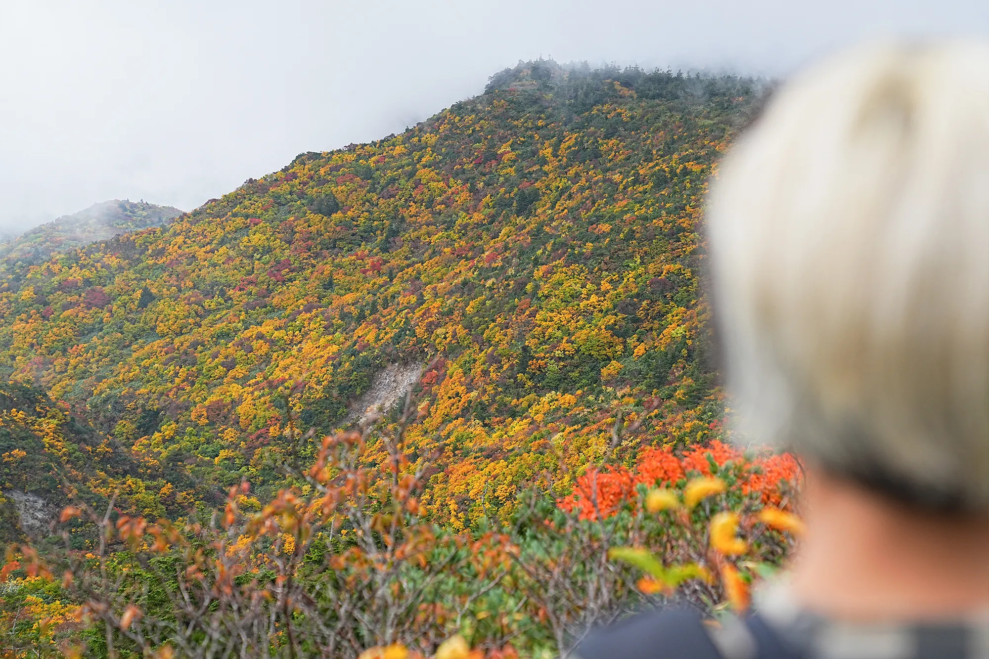 蔵王をロープウェイで楽々紅葉ハイキング
