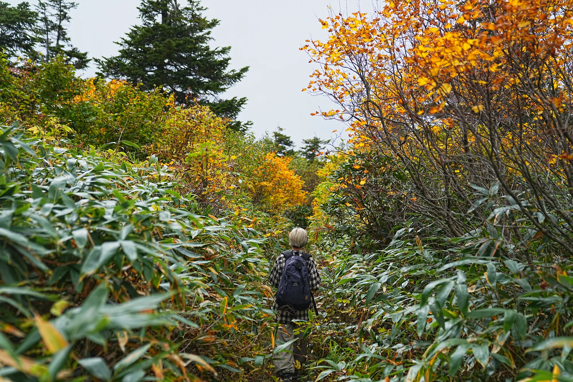 蔵王をロープウェイで楽々紅葉ハイキング