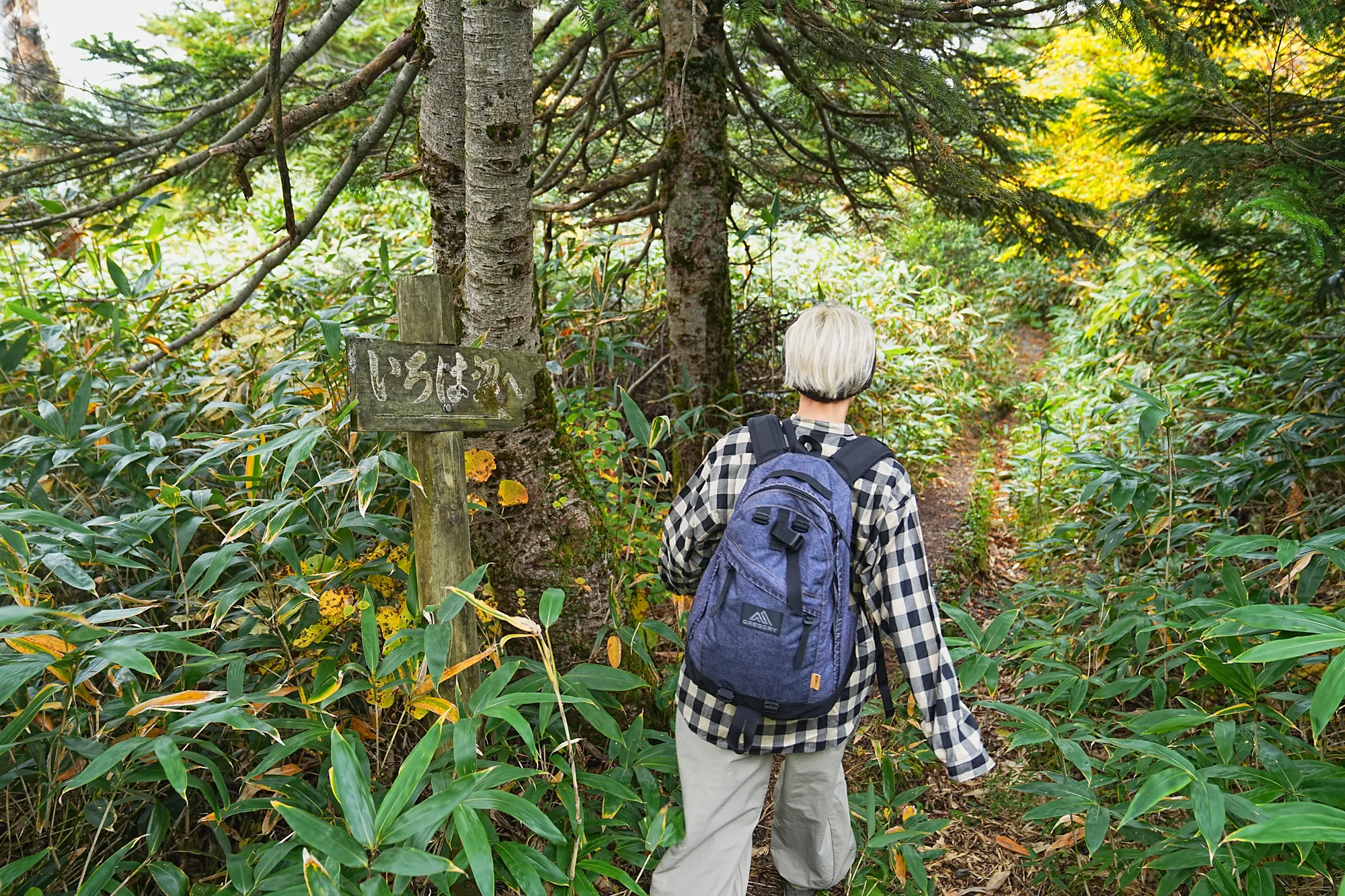 蔵王をロープウェイで楽々紅葉ハイキング