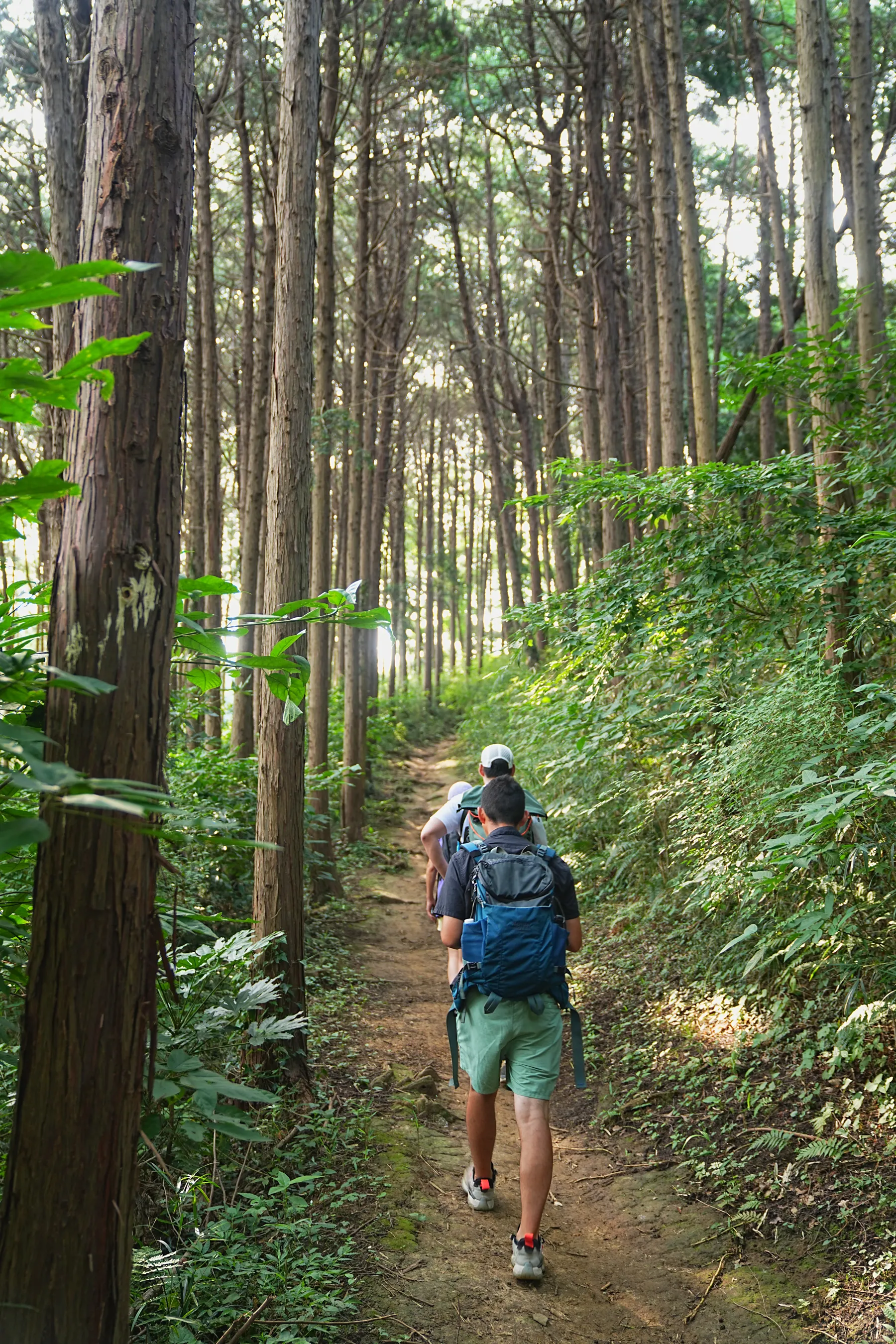 逗子/葉山、二子山ハイキング